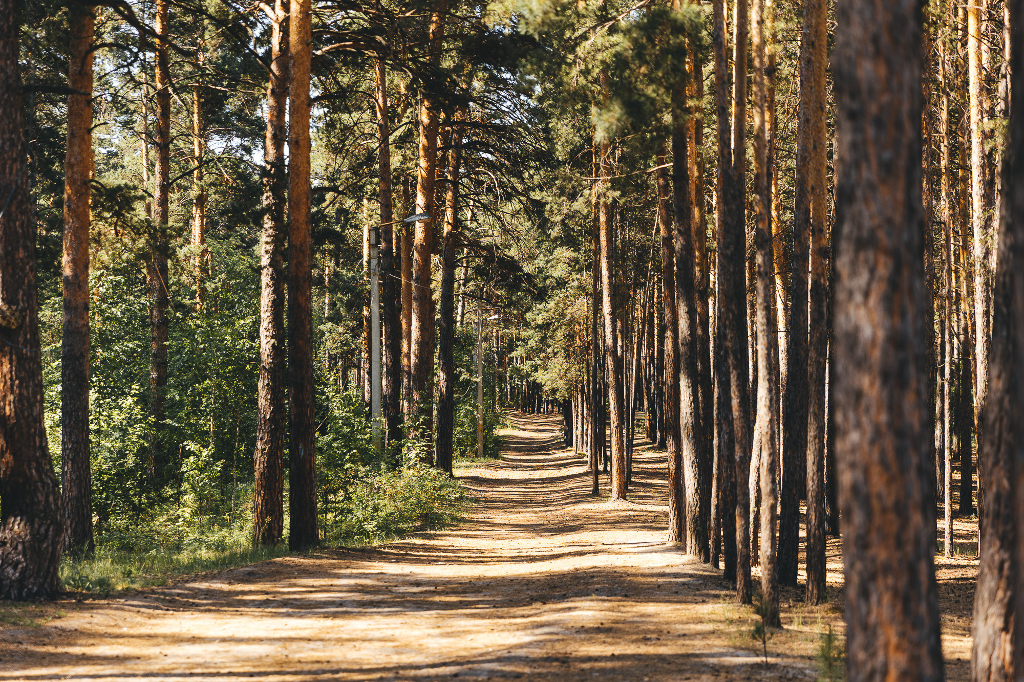 Локации для съёмок. Свадебный и репортажный фотограф Евгений Петров