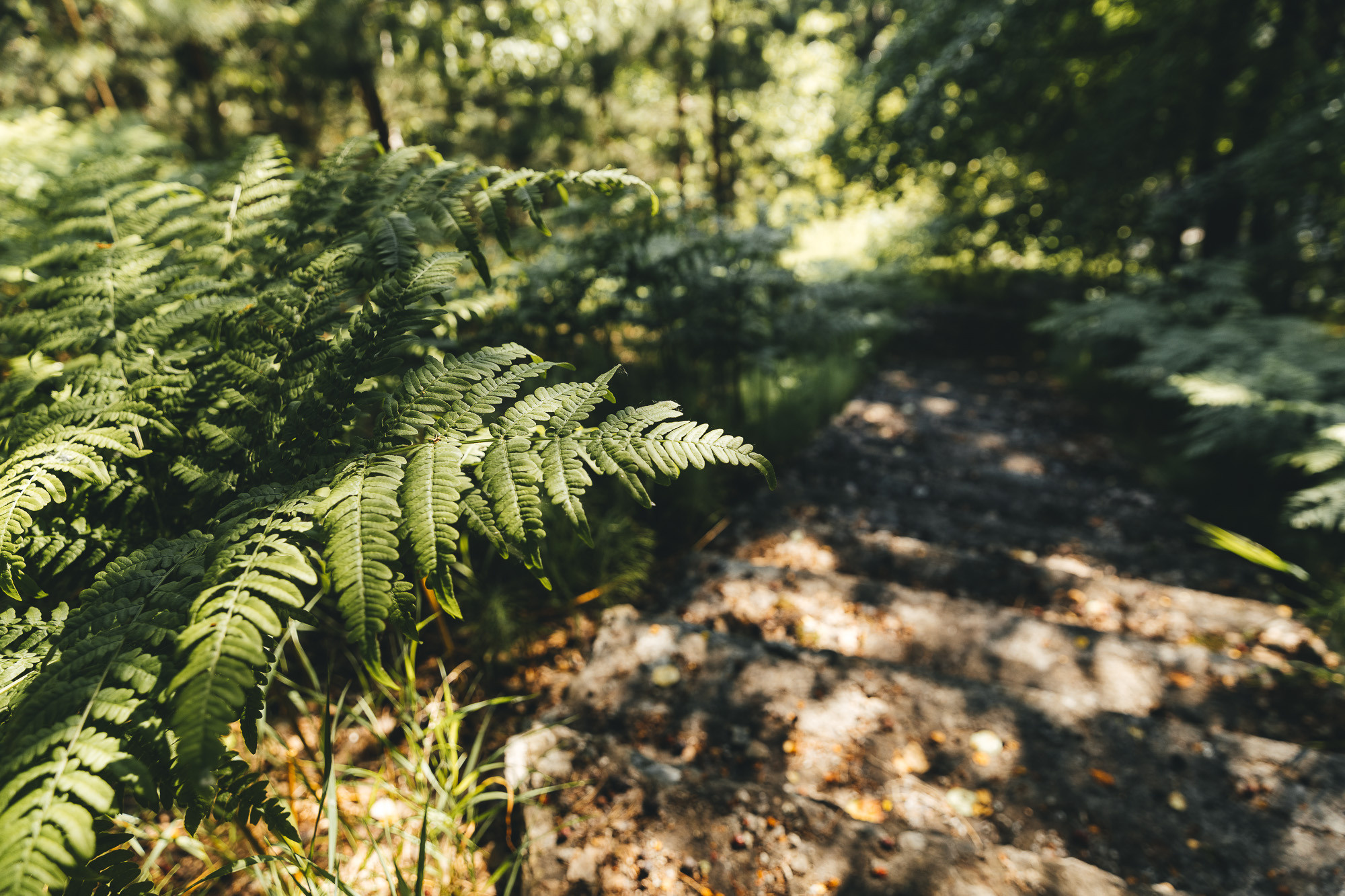 Локации для съёмок. Свадебный и репортажный фотограф Евгений Петров
