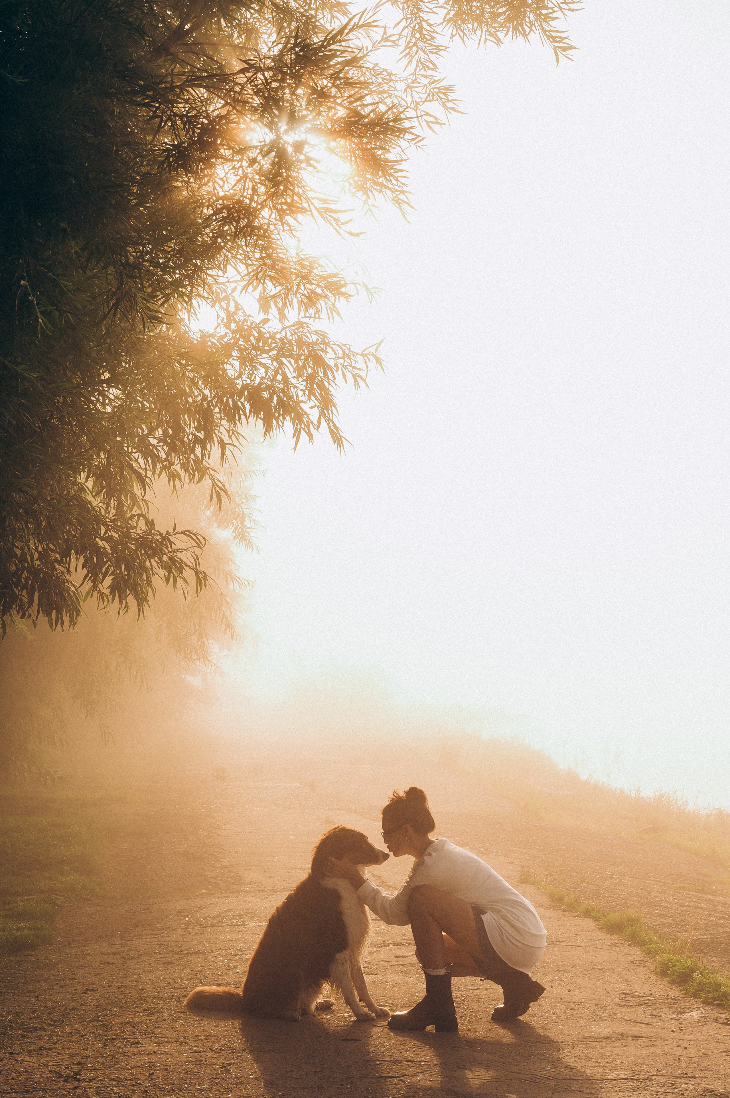 Настя и Оушен. Семейный и свадебный фотограф в Красноярске Садкеева Юлия