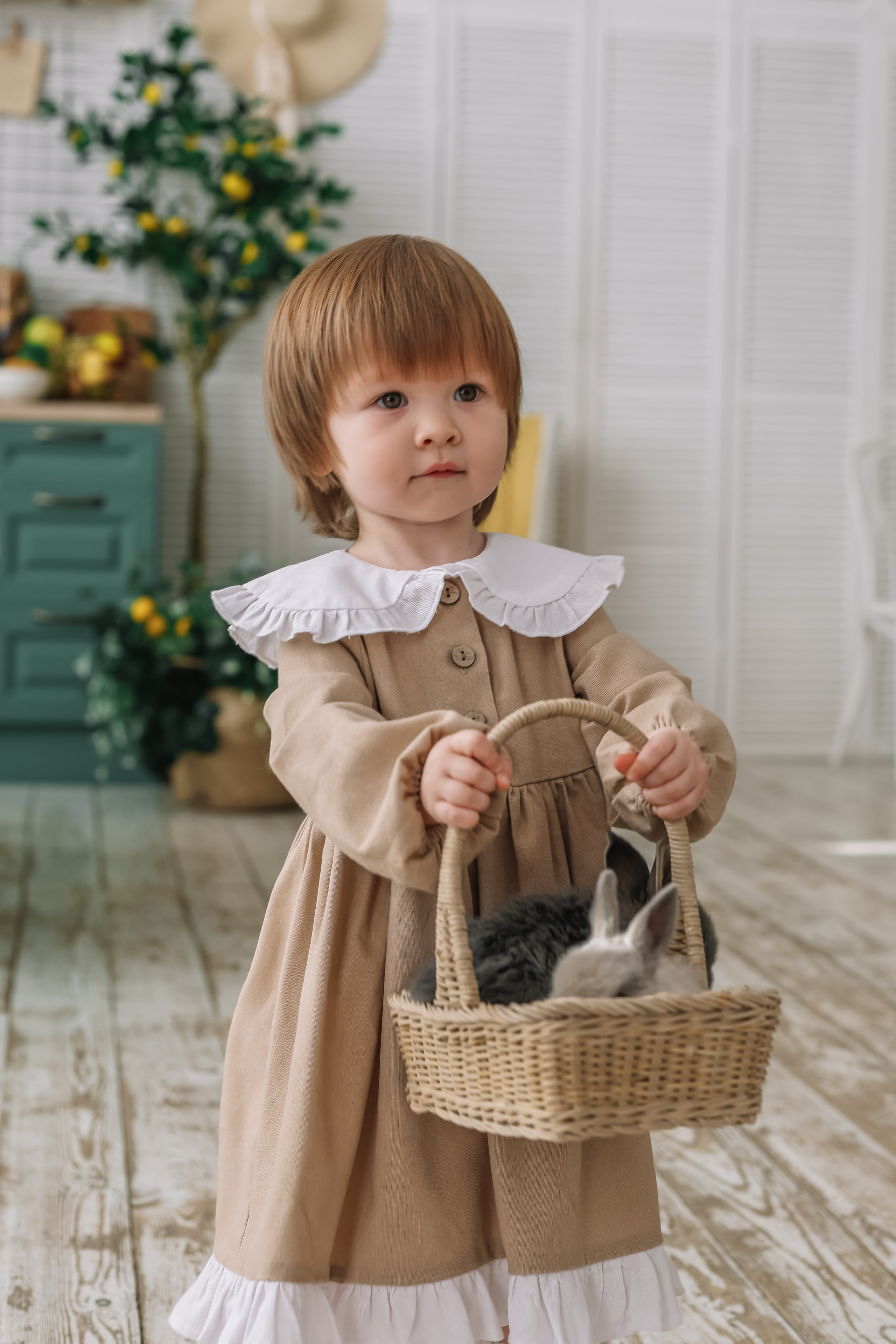 Утята. Фотограф и видеограф Анна Домашенко