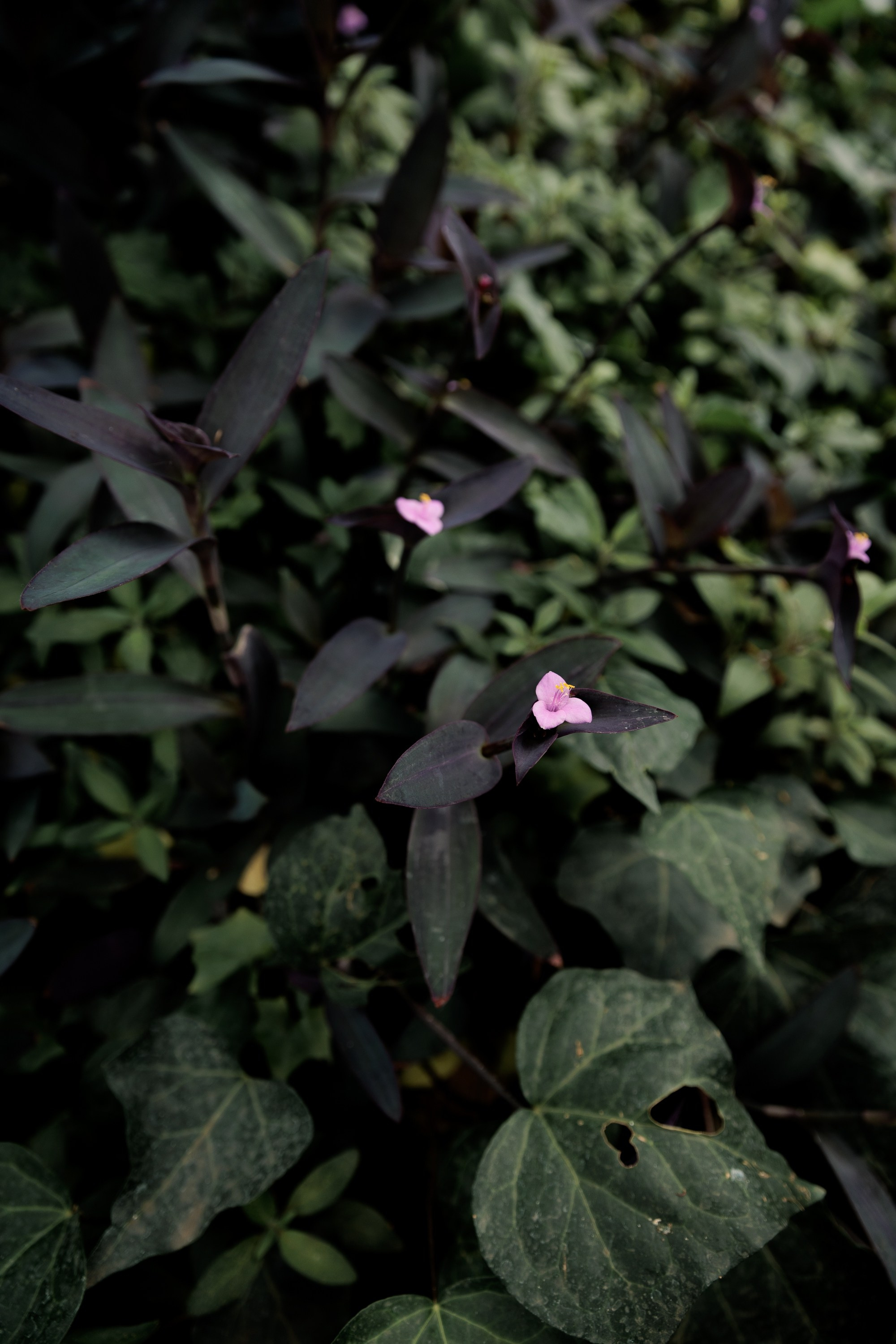 Евгения Сыровая. Игорь Панкратов | Фотограф Ставрополь