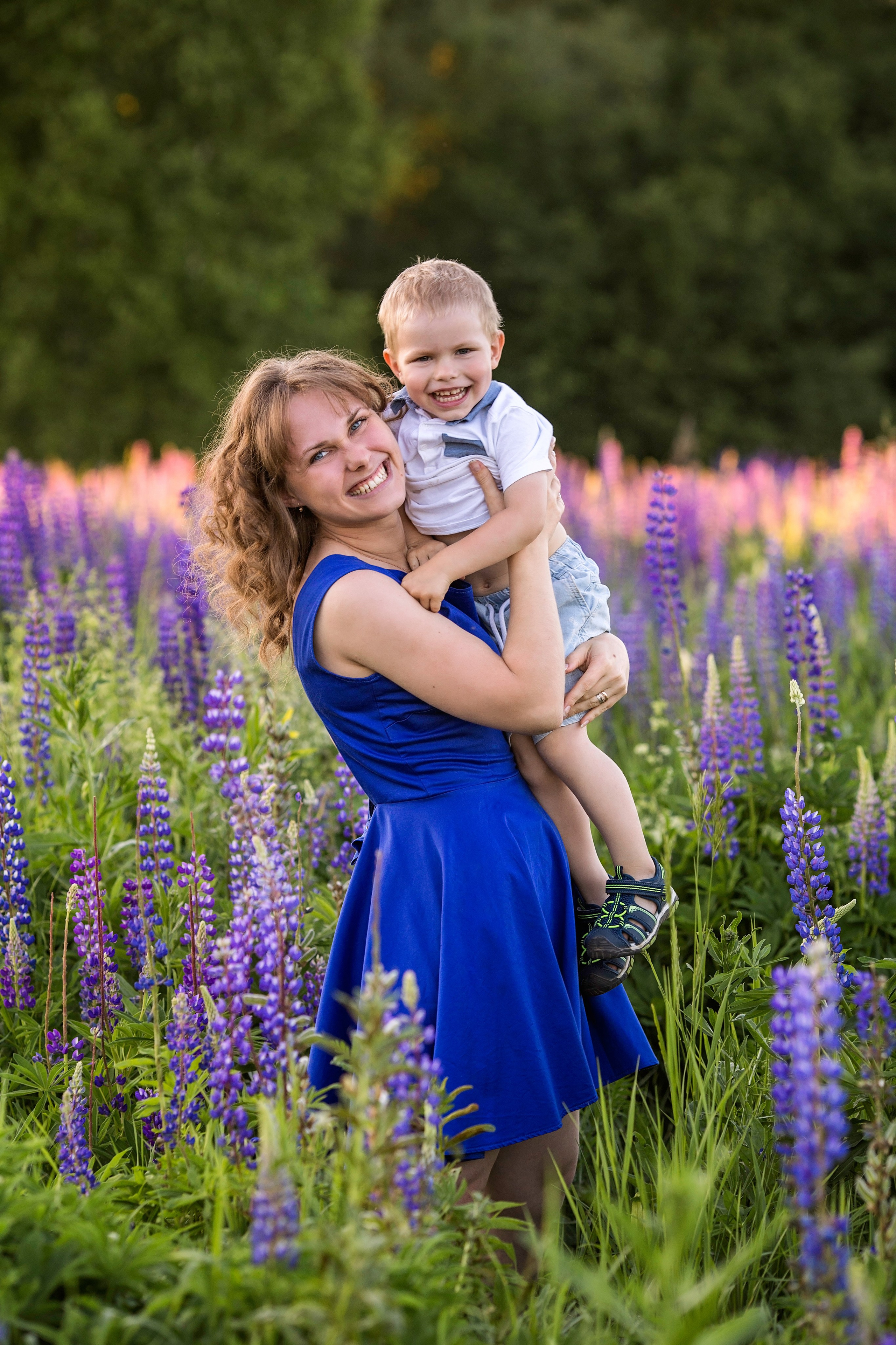 Индивидуальная фотосессия в люпинах (Анна). Главная