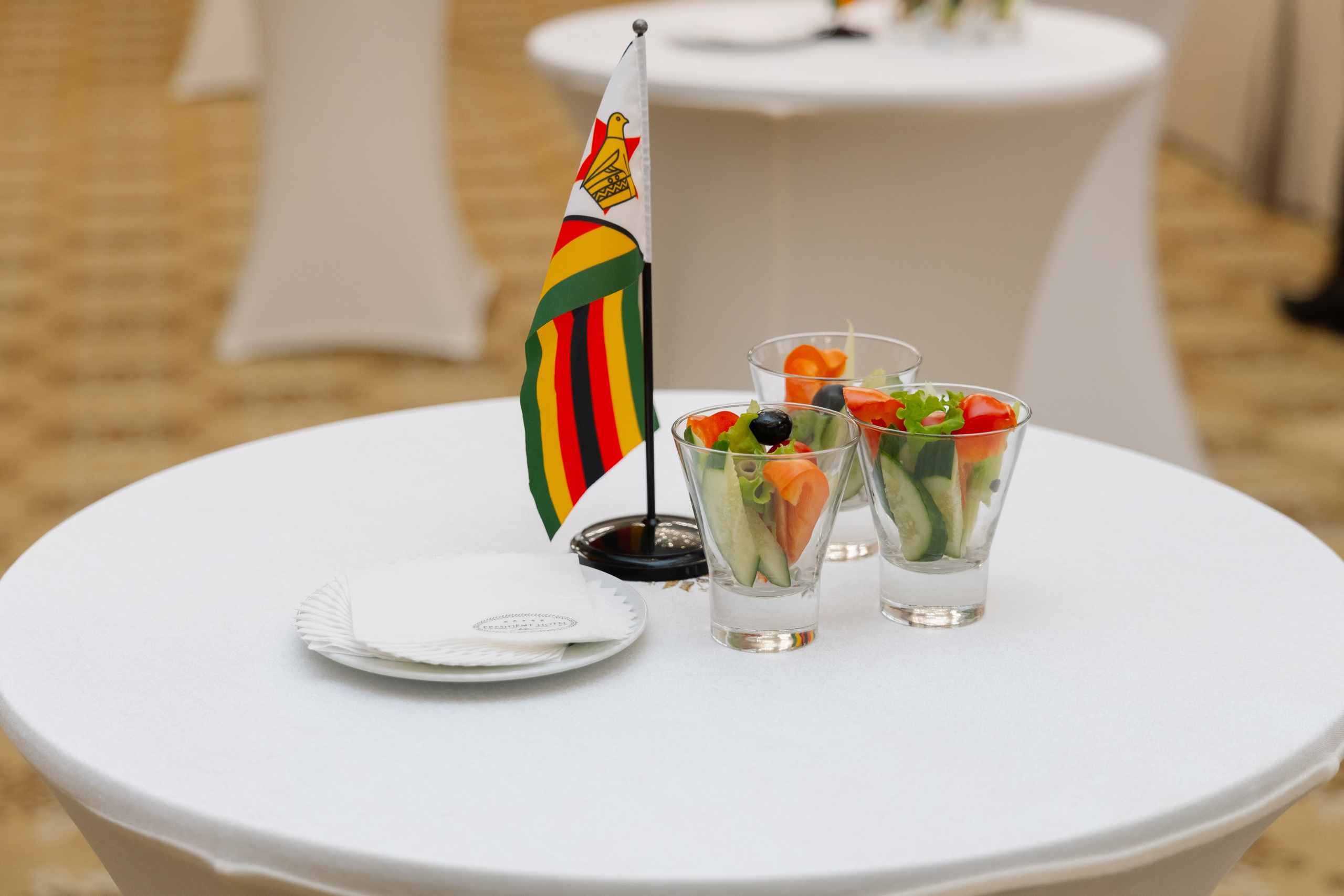 Фотосъемка делегации Посольства Зимбабве в Минске. Свадебный фотограф в Минске/Беларуси Сергей Спиридонов