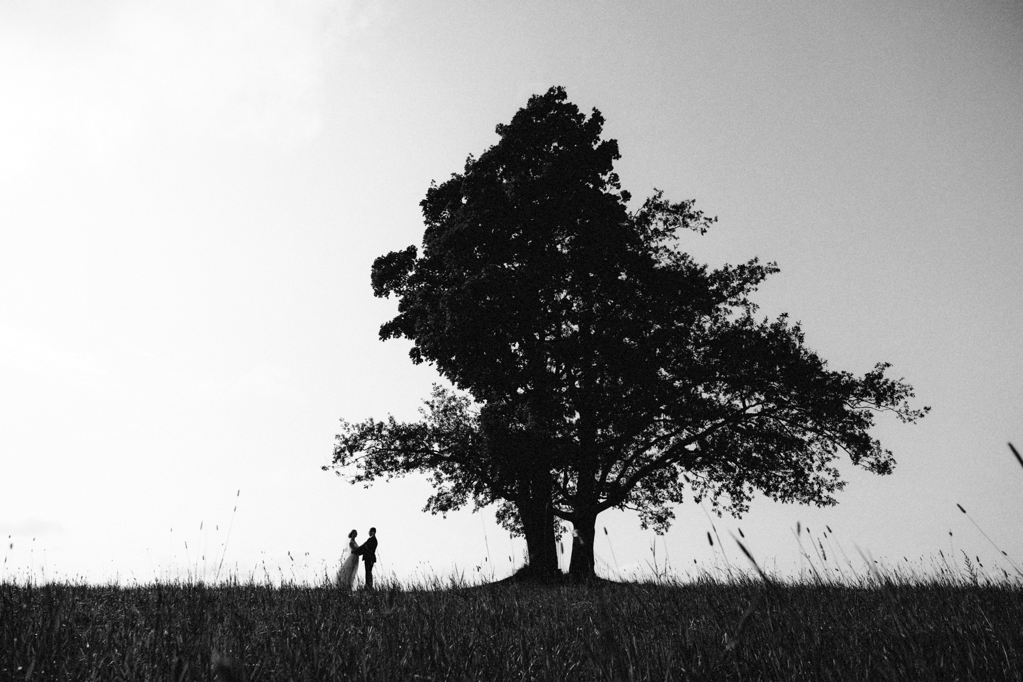 Юля и Вася | 09.09.18. Свадебный и репортажный фотограф Евгений Рудницкий