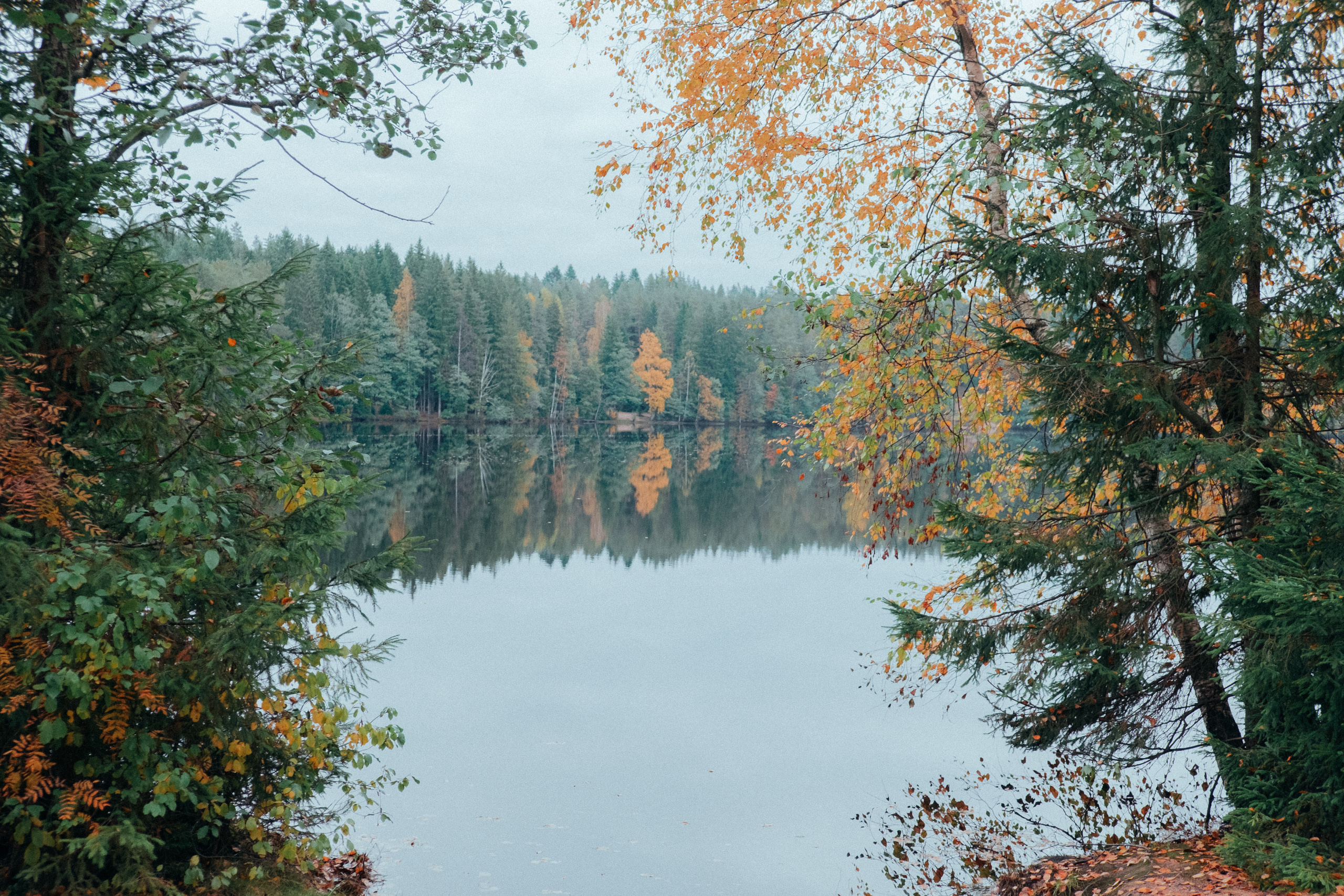 Маша и Тарас | 02.10.17. Свадебный и репортажный фотограф Евгений Рудницкий
