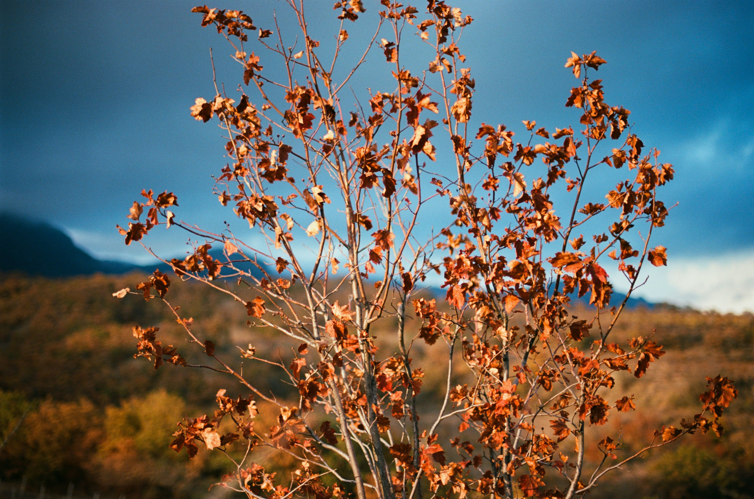 Wherever you will go // ukraine, crimea II. EVER EXPOSED