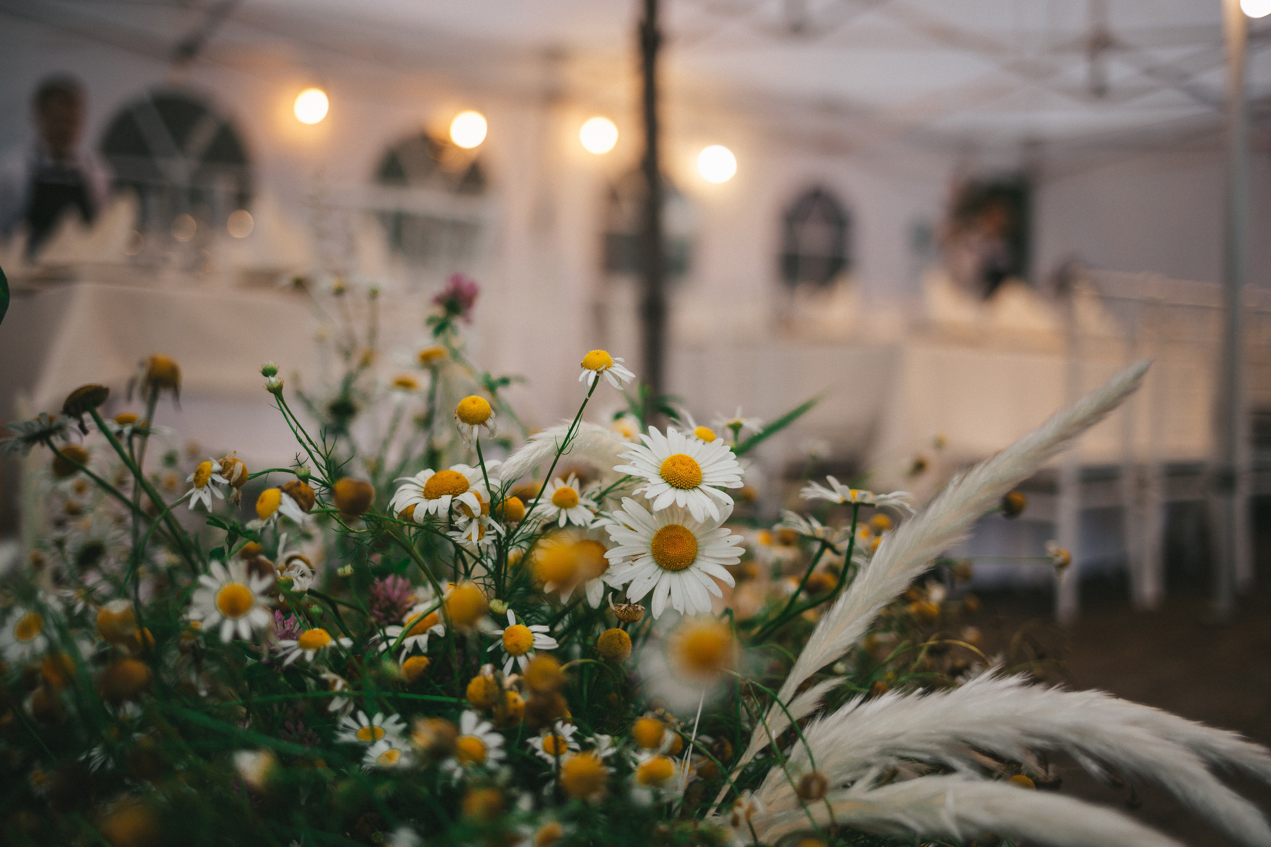 Ренат и Арина. Nadin.K фотограф Иркутск, Байкал, Братск