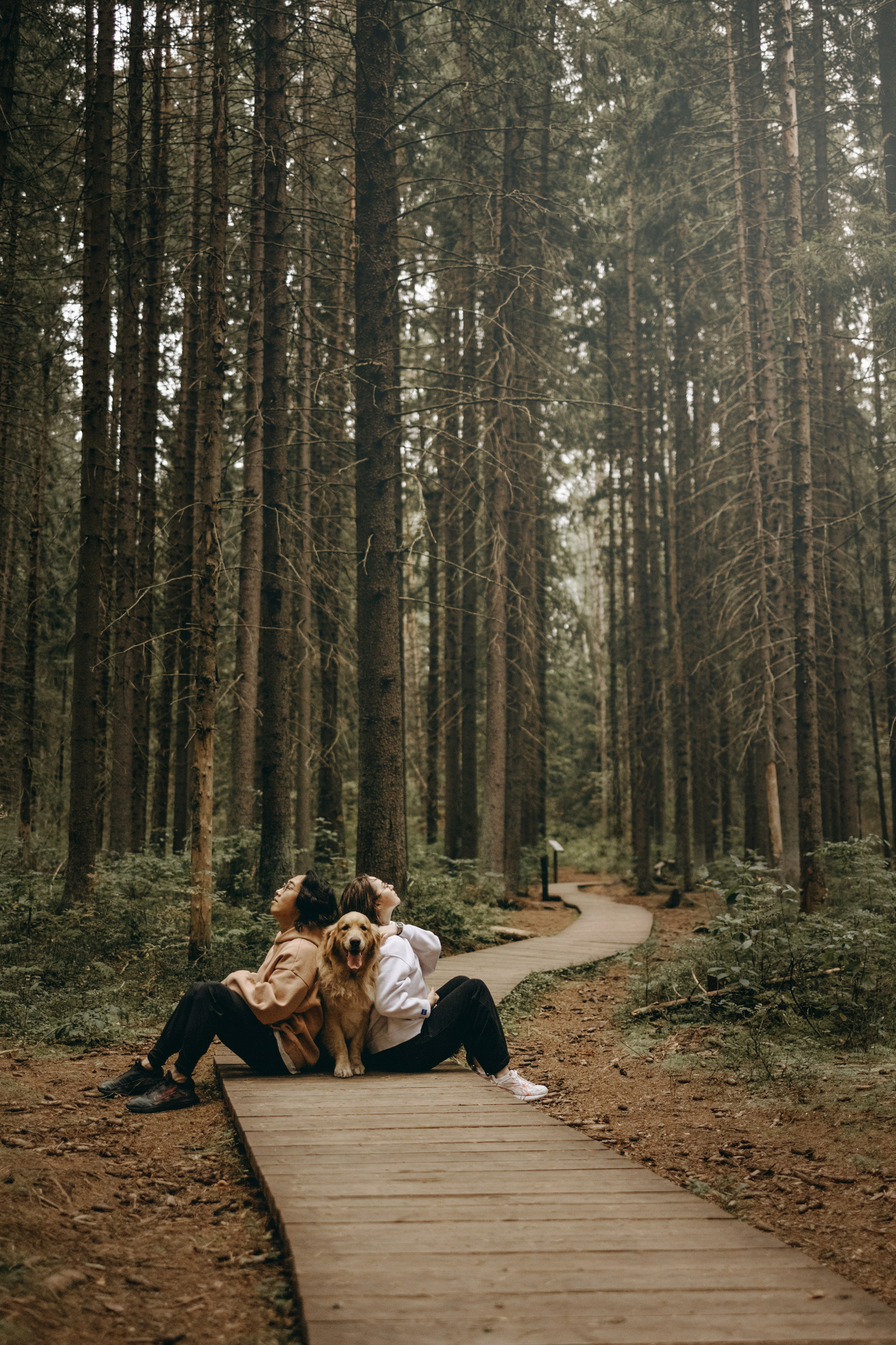 Фоси и его семьи. Фотограф — Анималист | Санкт-Петербург