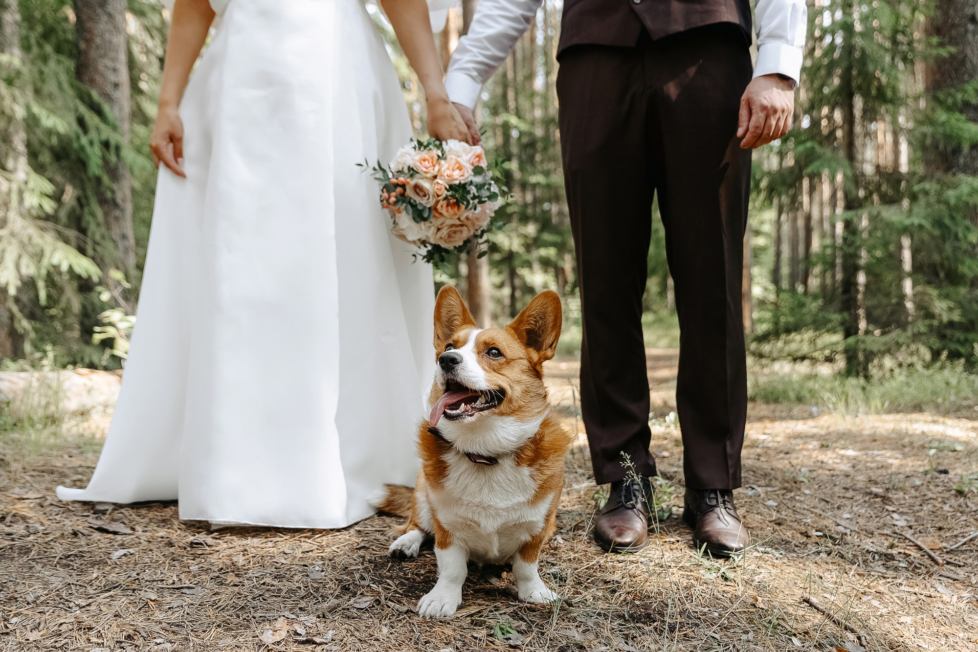 Свадебная фотосессия. Свадебный и семейный фотограф В Череповце Дмитрий Паутов