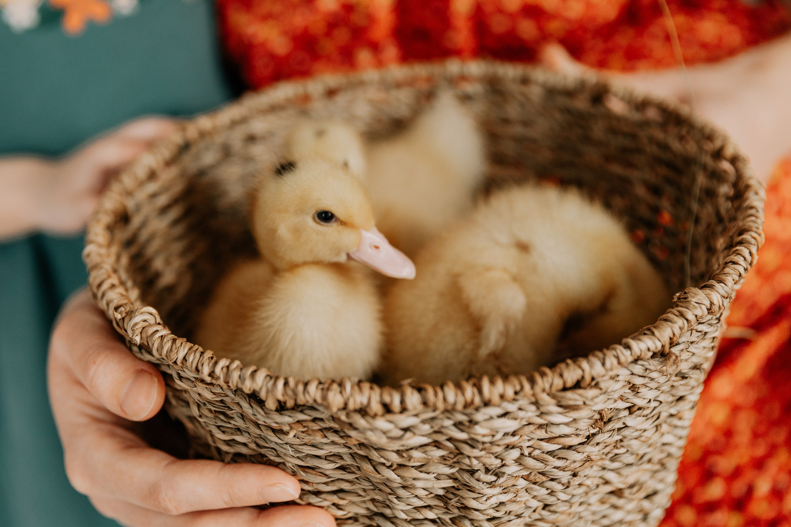 Полина и Антон. Сергей Фусс фотограф в Тамбове