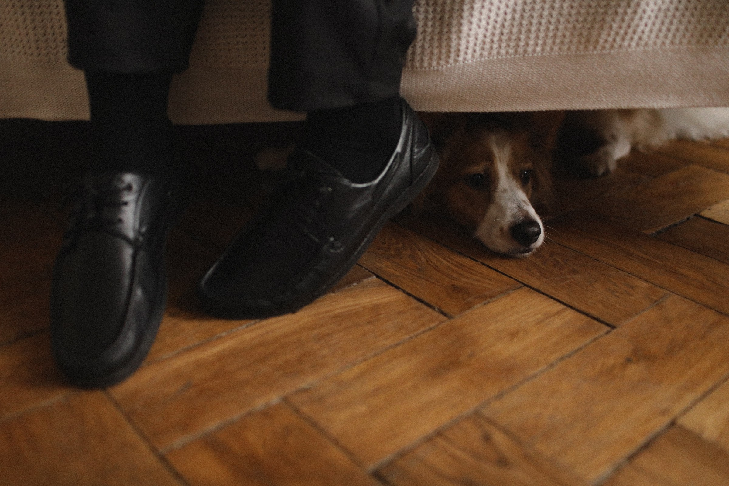 Нежность. Семейный фотограф в Москве Алевтина Носова