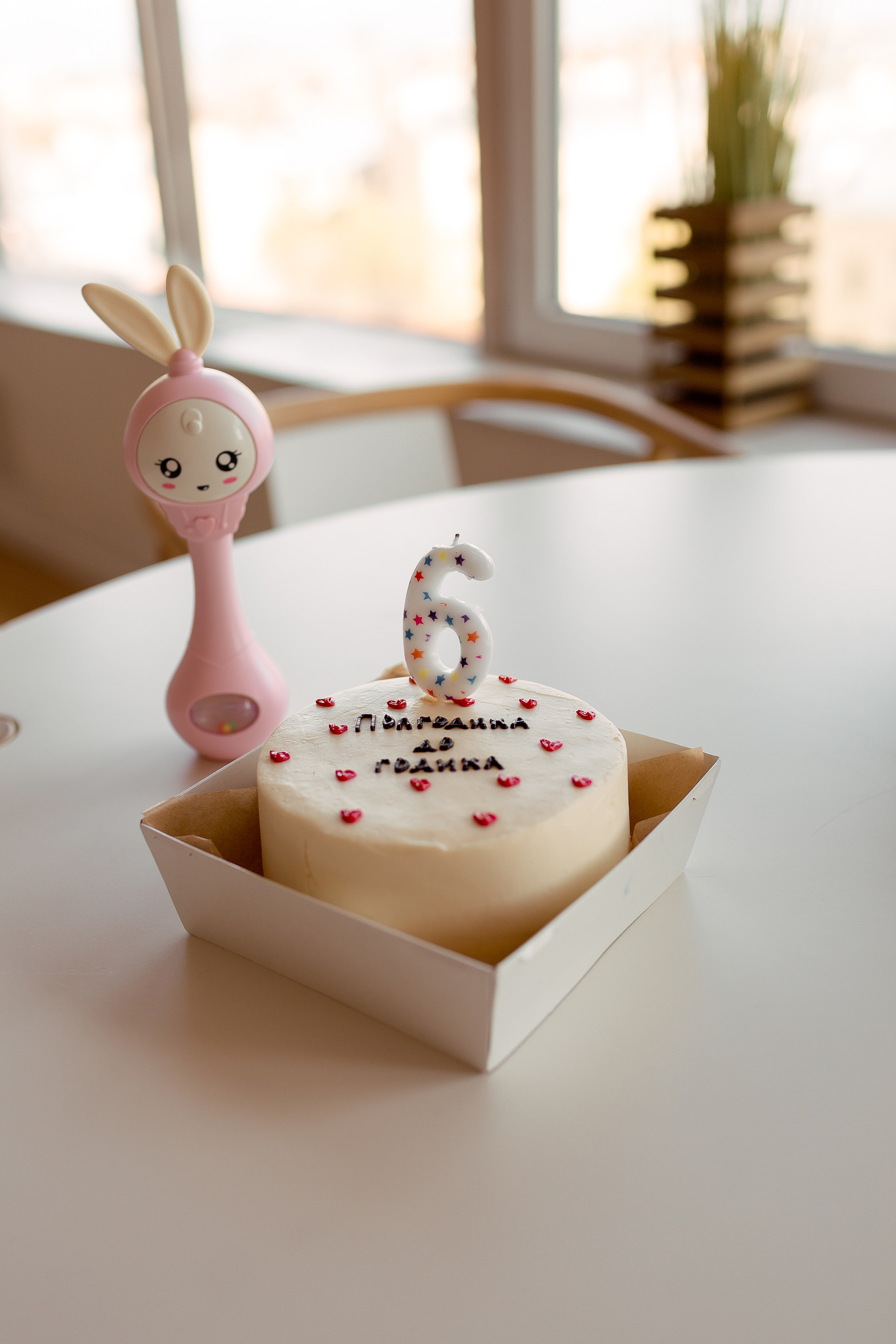 Пол годика до годика🥳. Свадебный и семейный фотограф Спб Бошман Ирина