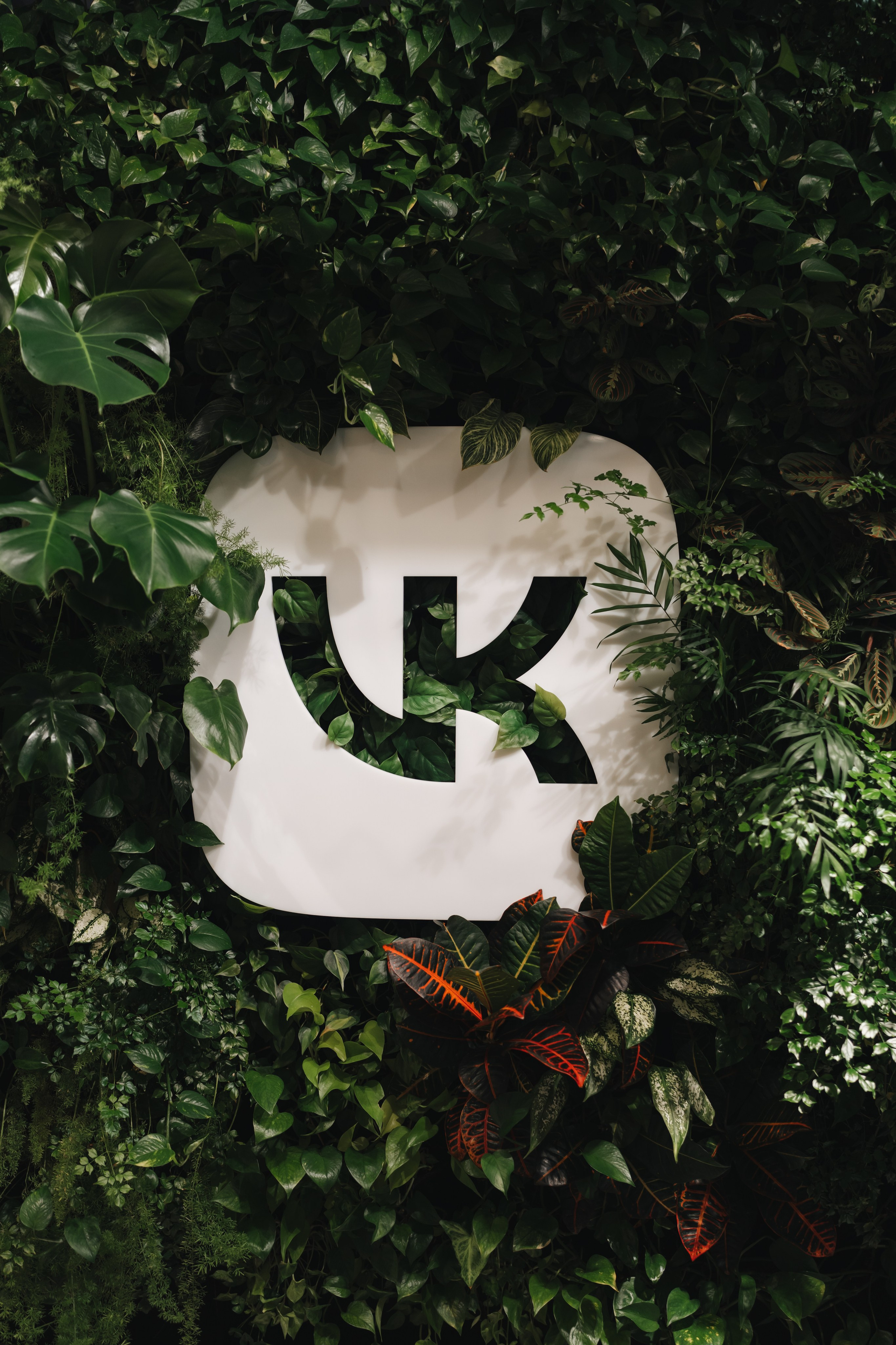 Экскурсия во Вконтакте. Фотограф в Санкт-Петербурге Кристина Шумихина