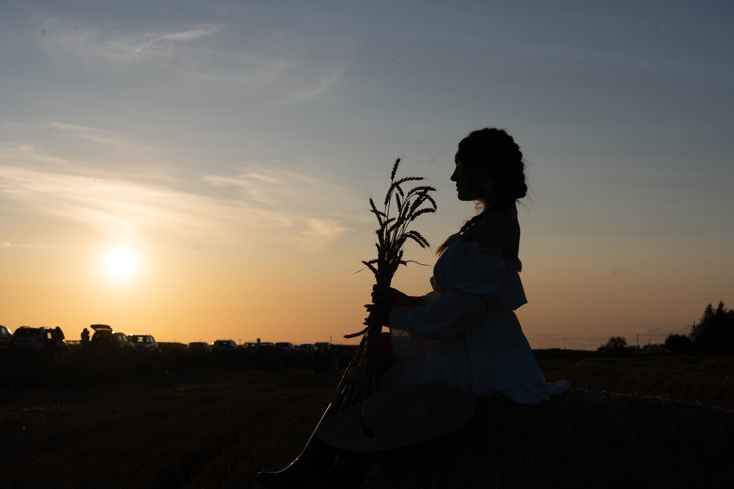 Пшеничные поля. Главная