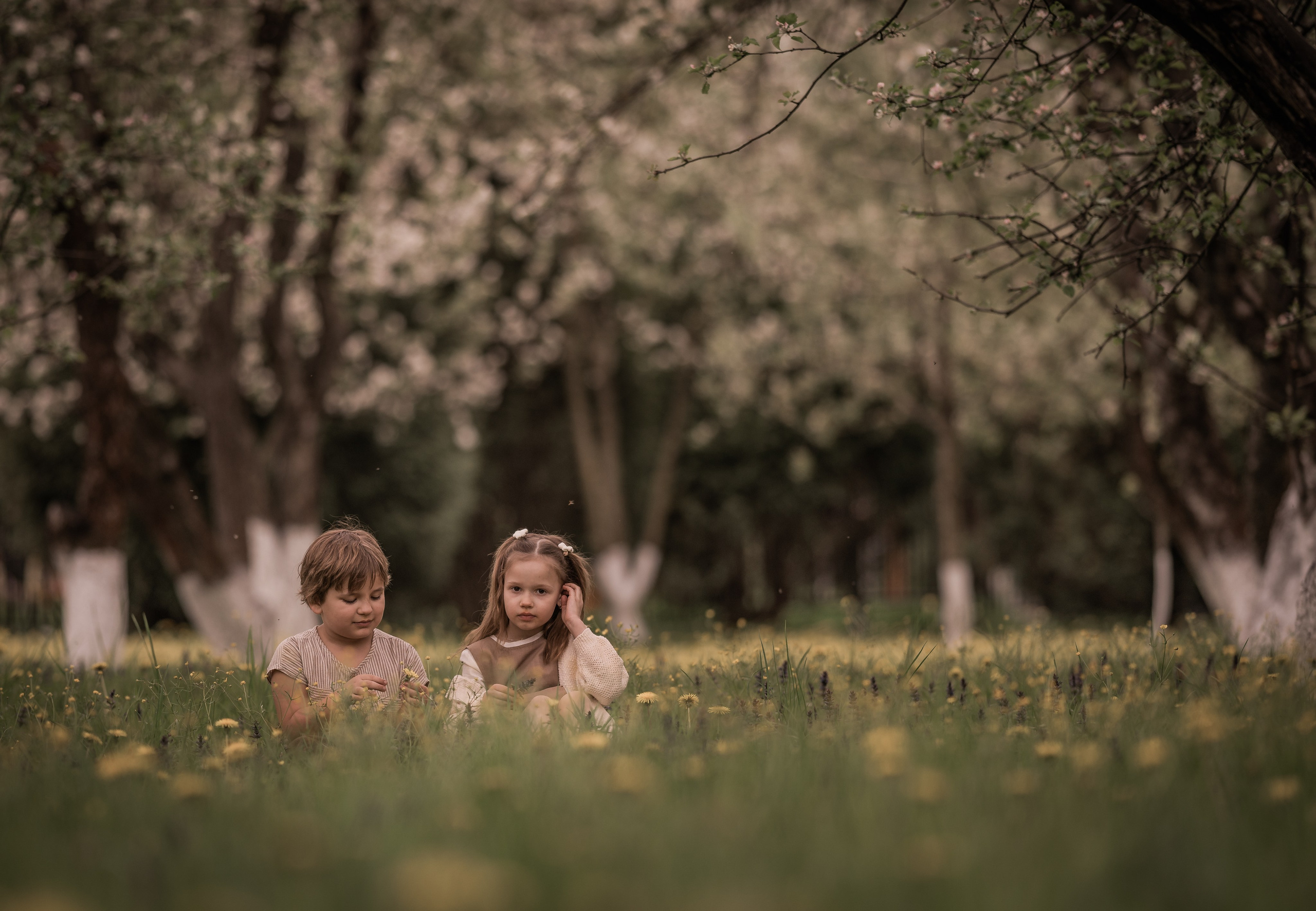 Май. Семейный фотограф Ефремова Виктория
