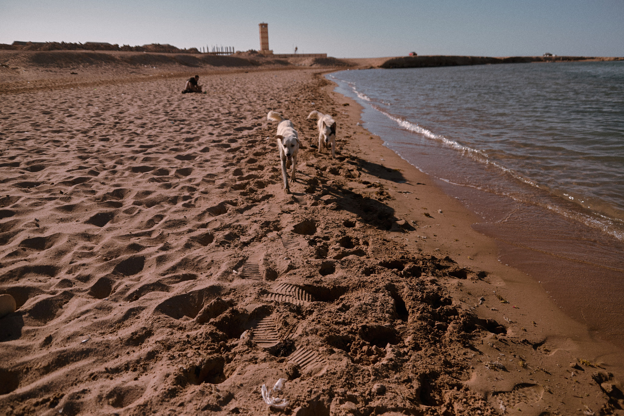Улица горизонтальная. Jorgis — фотограф в Хургаде / обучение фотографии