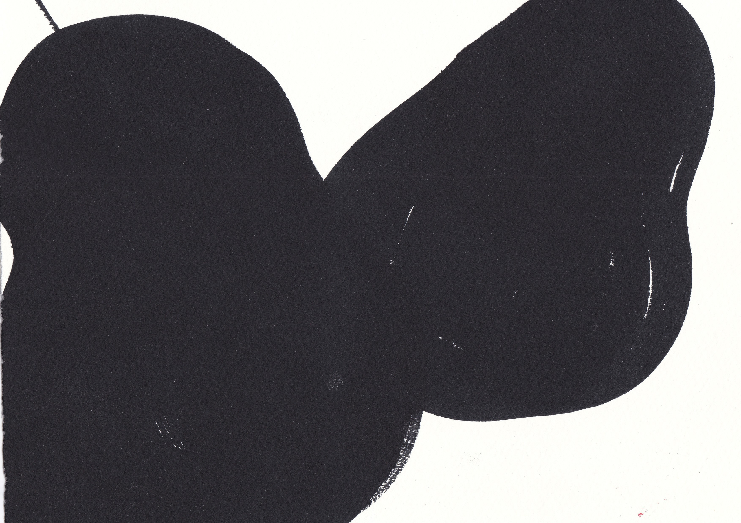 Ink Drawings. Portfolio Birdcrush