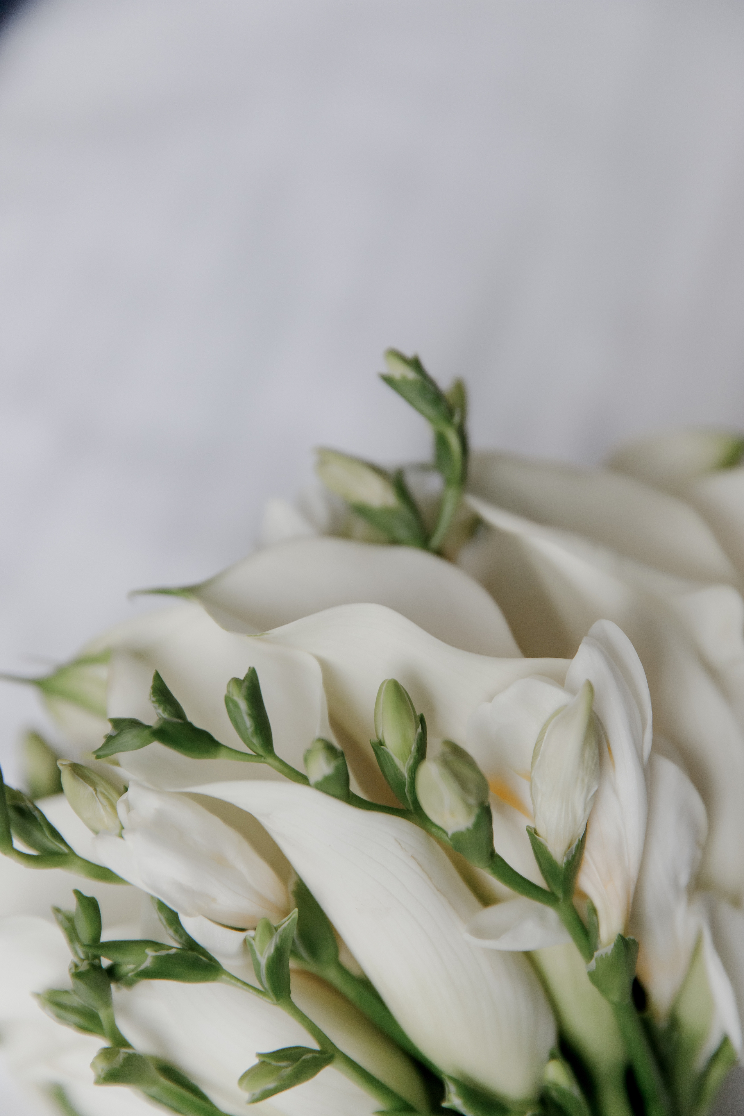 Алексей и Ирина W 02.09.2022. Свадебный фотограф в Москве и по всему миру