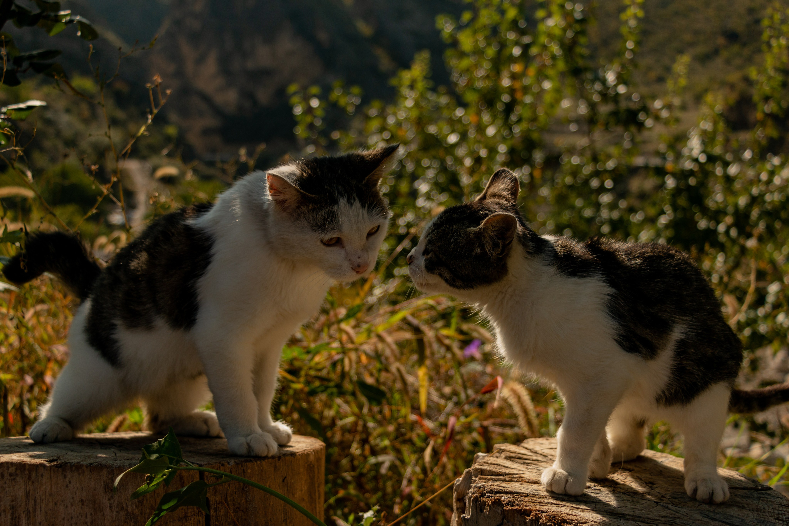 Дагестан. Фотограф в Сочи