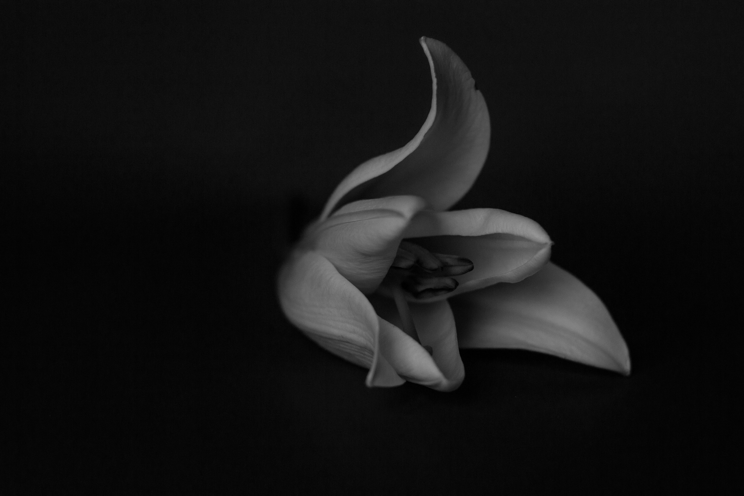 Предметная съемка. Ольга Ибатуллина