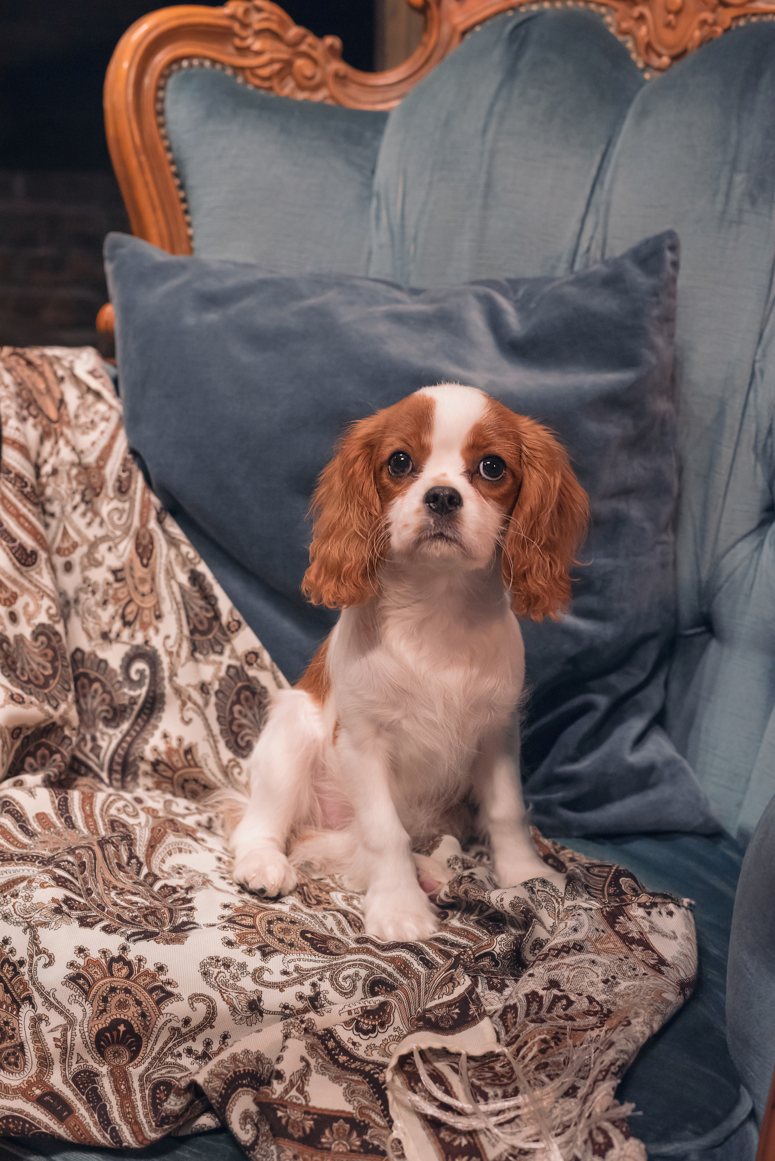 Съёмка с принцессой Марвел. Фотограф, ретушёр, графический дизайнер в Петербурге Адрианова Настя