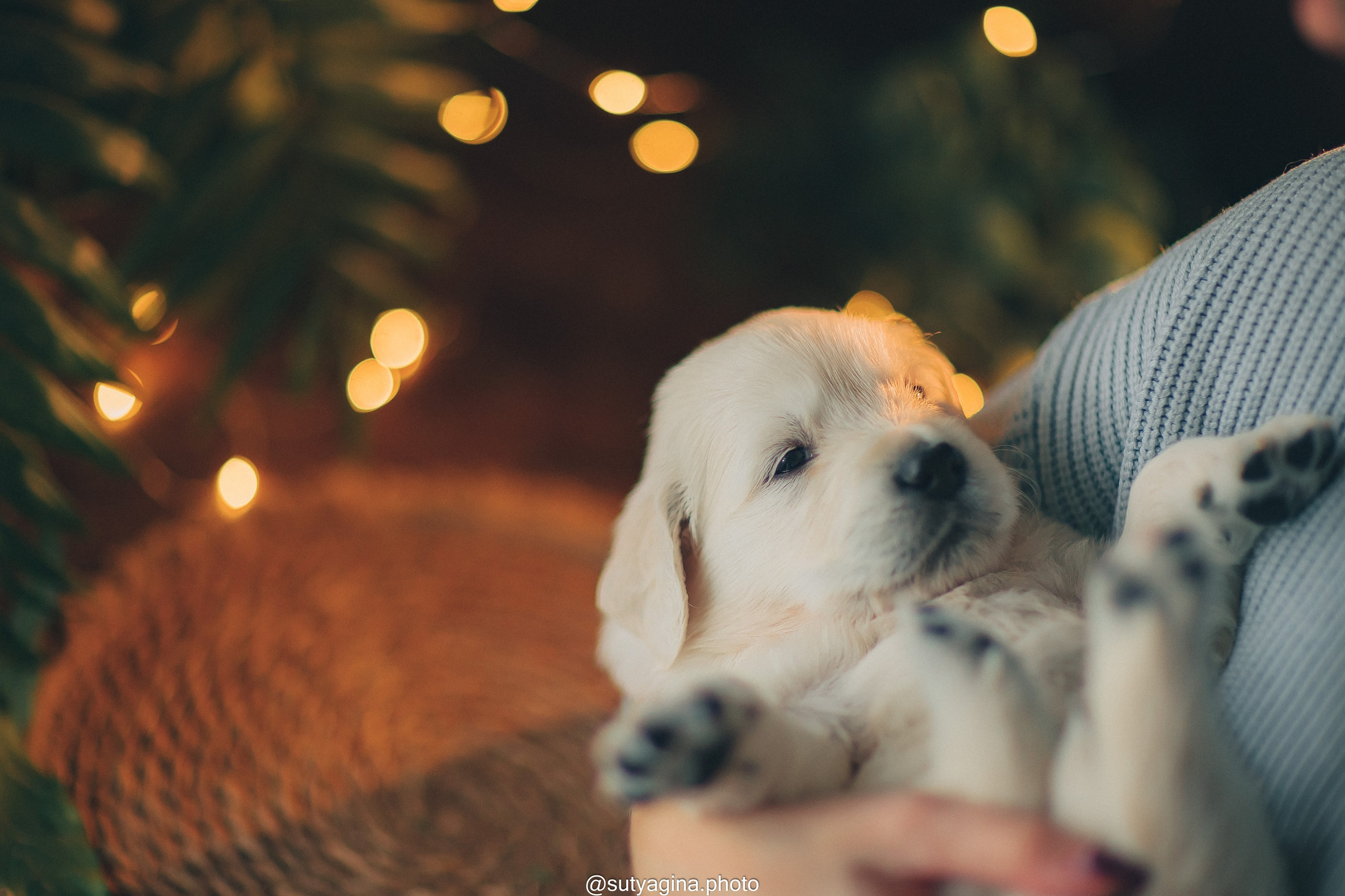 Зеленая лента. Свадебный и женский фотограф