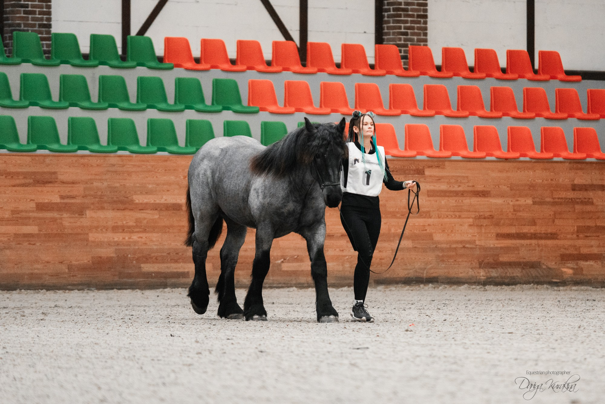 8-я международная выставка Конная Россия. Конный фотограф Куракина Дарья • Фотосессии с лошадьми