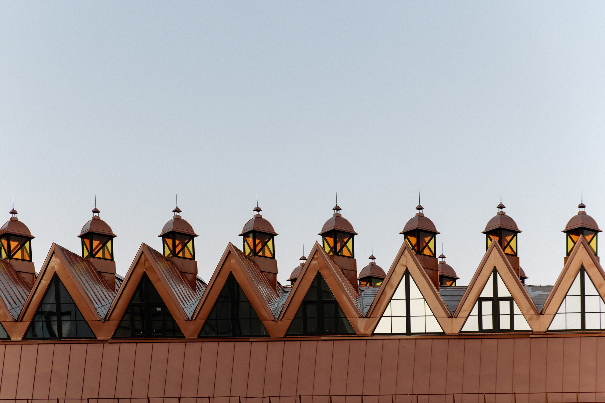 Цветок детства. Свадебный фотограф Алина Хабарова