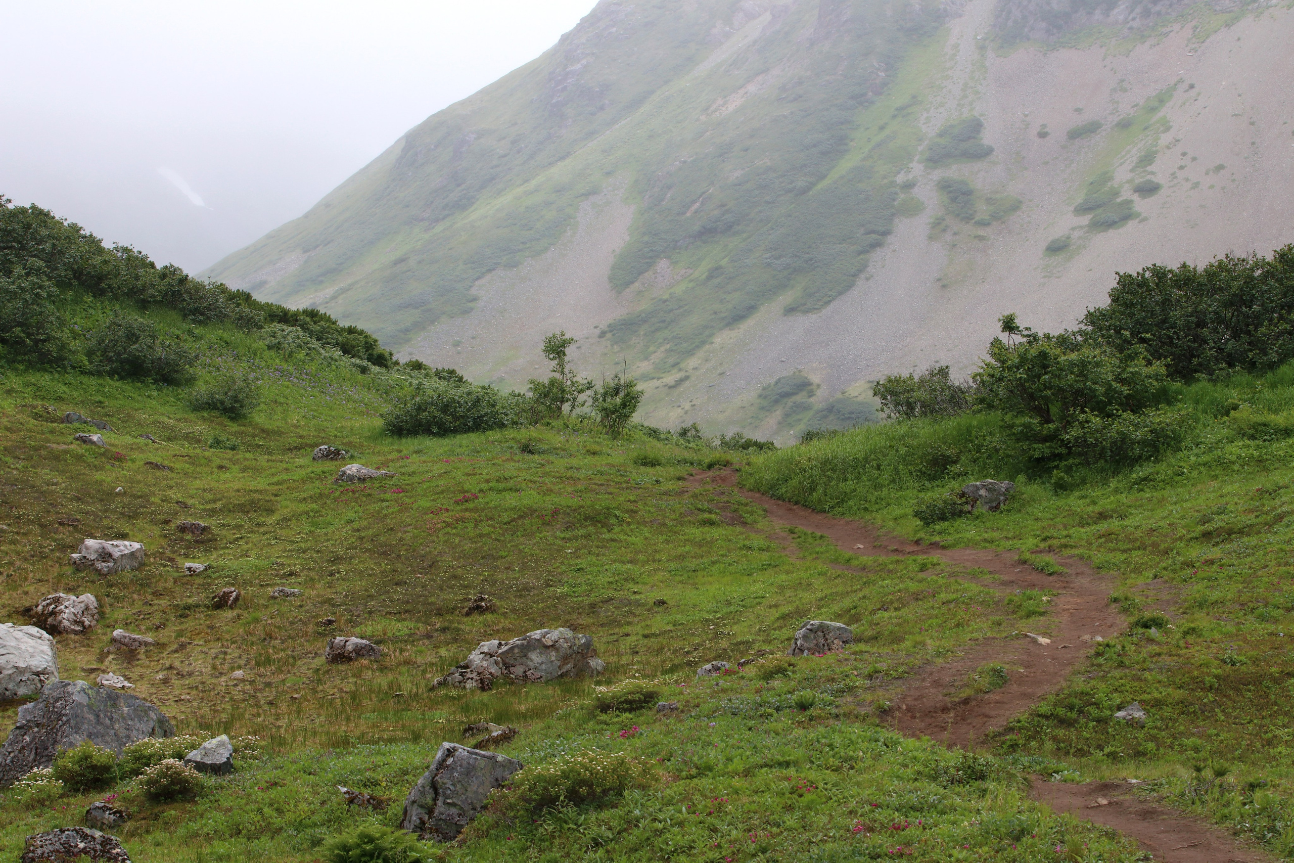 Камчатка и о. Парамушир. Июль 2024. Путешественник-фотограф из Санкт-Петербурга Татьяна Свистулина