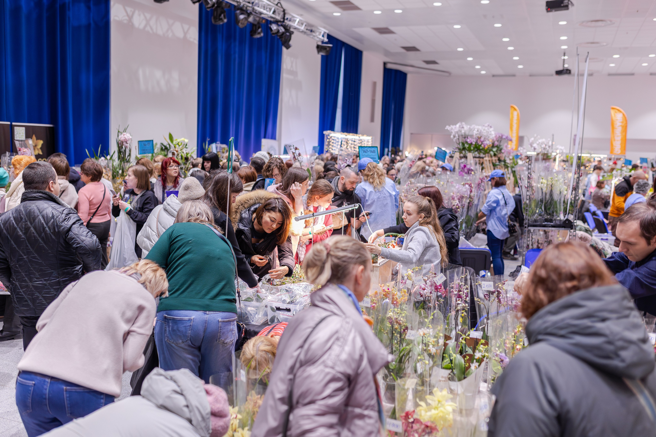 Орхидиум 12.2025. Александра Куликова фотограф, Москва