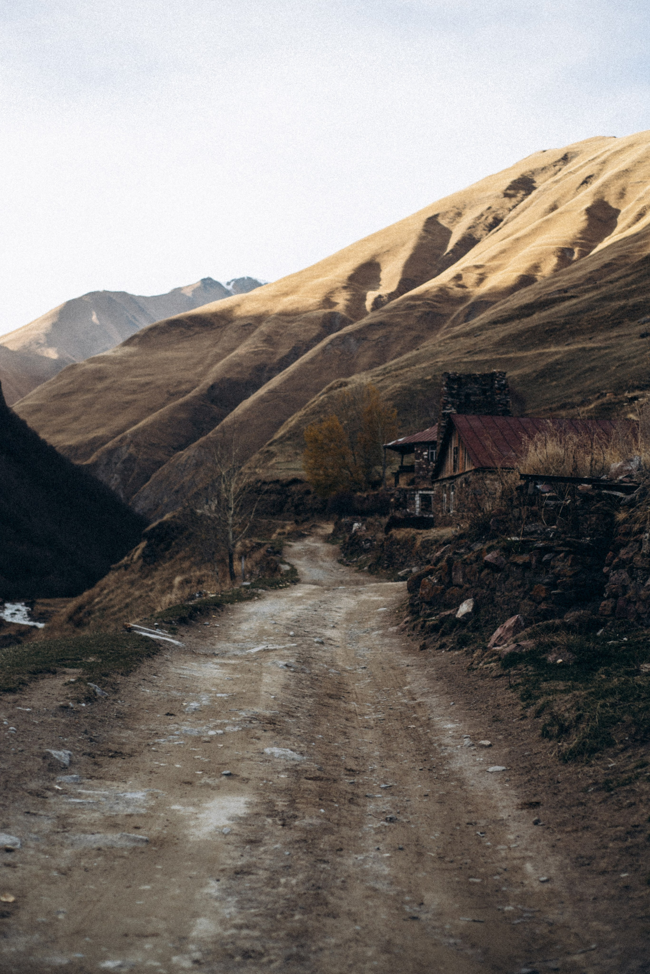 Долина Труссо, Грузия 🇬🇪 «PVD Club». Anita_photo