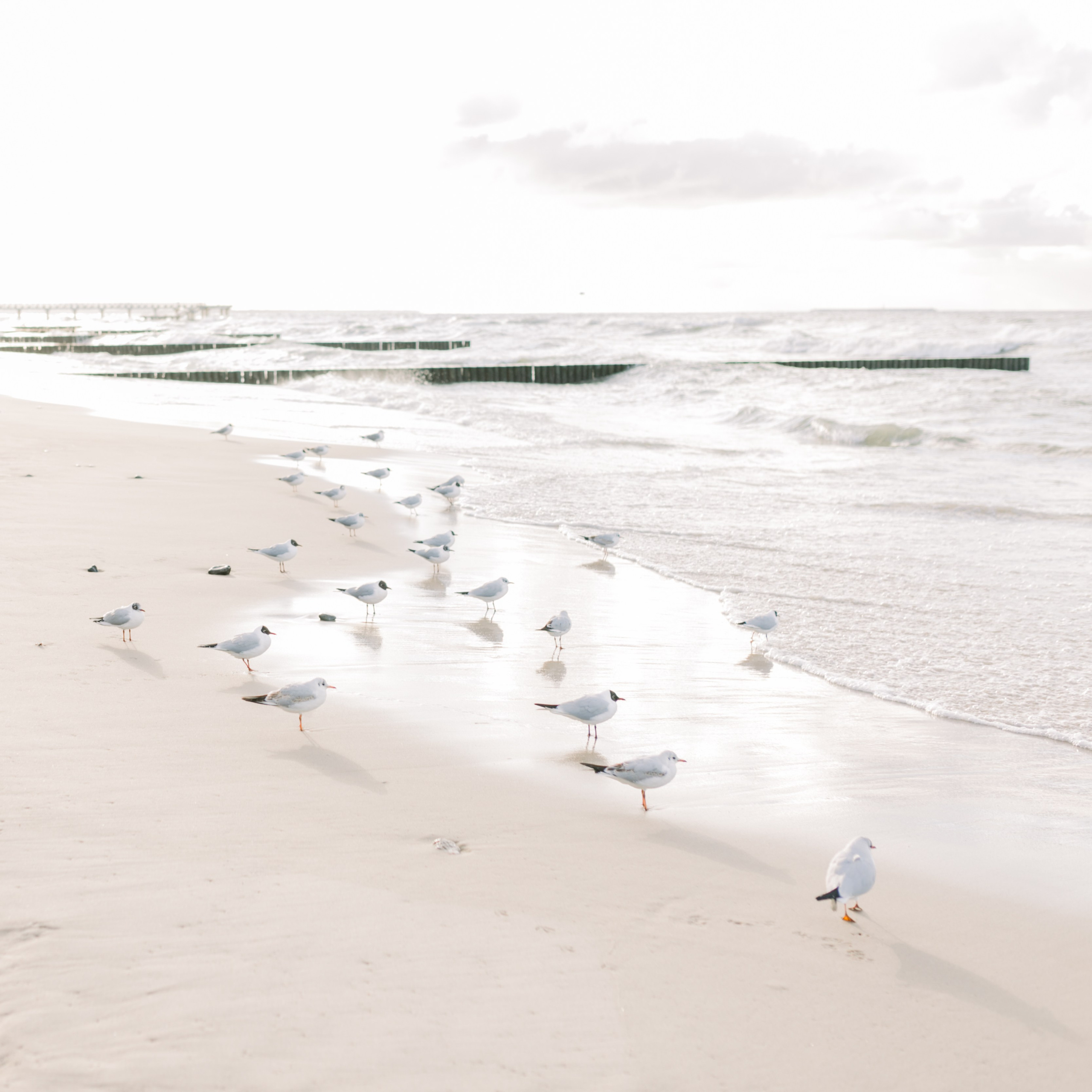 Travel. Лена Крутова. Фотограф в Москве