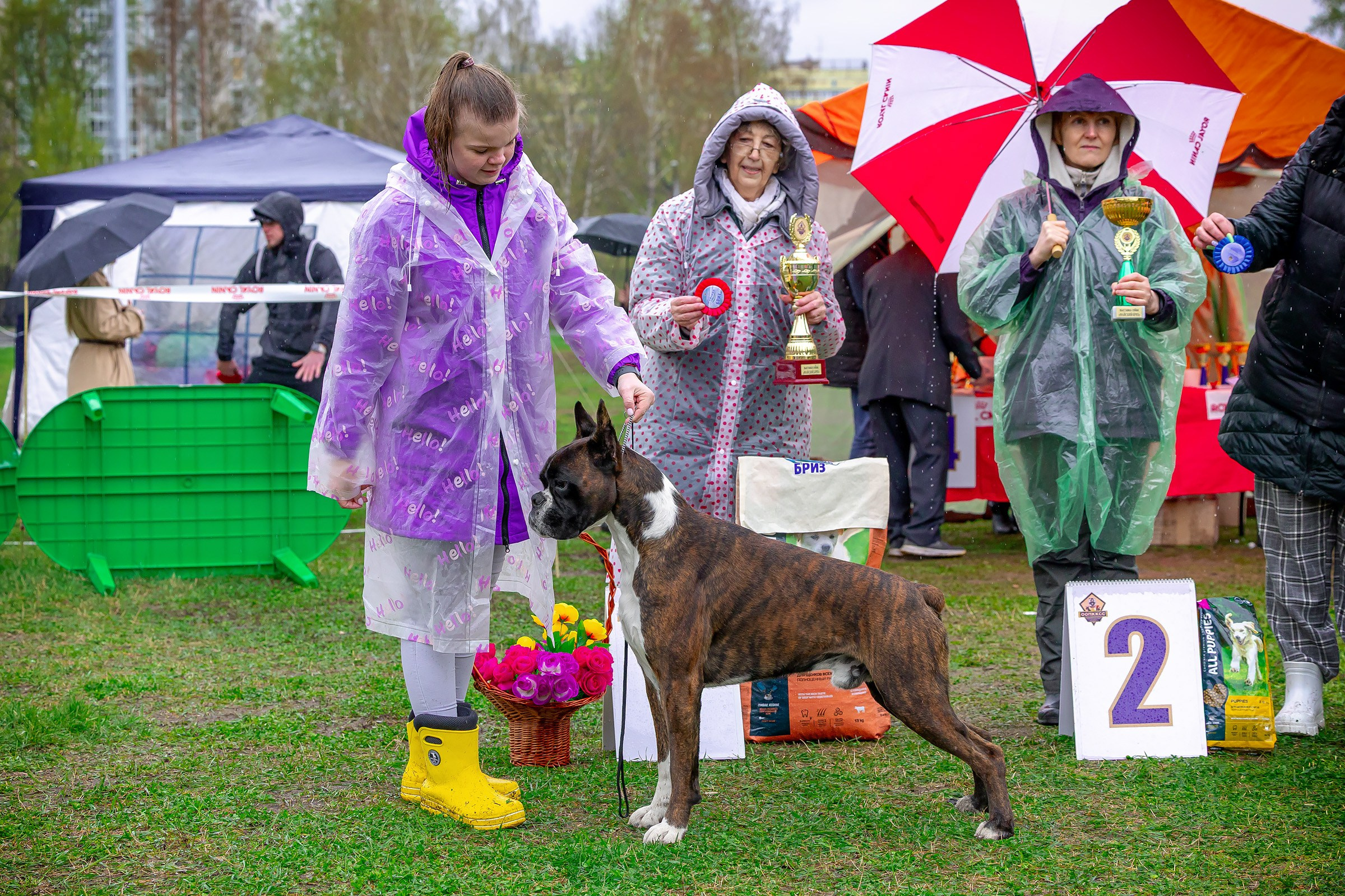 11 мая 2025, Выставка РКФ, г. Пермь. Htykk_photo