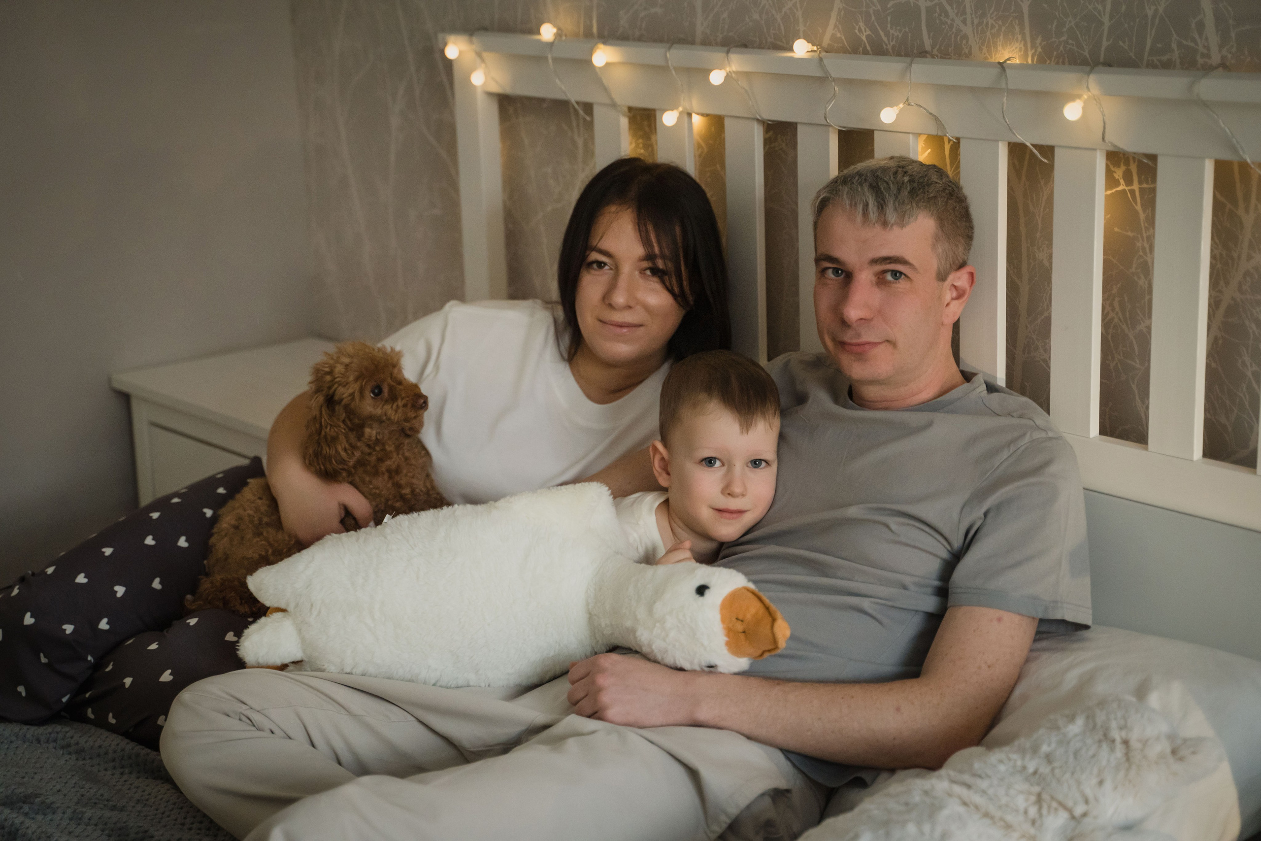 Предновогодний вечер. Главная