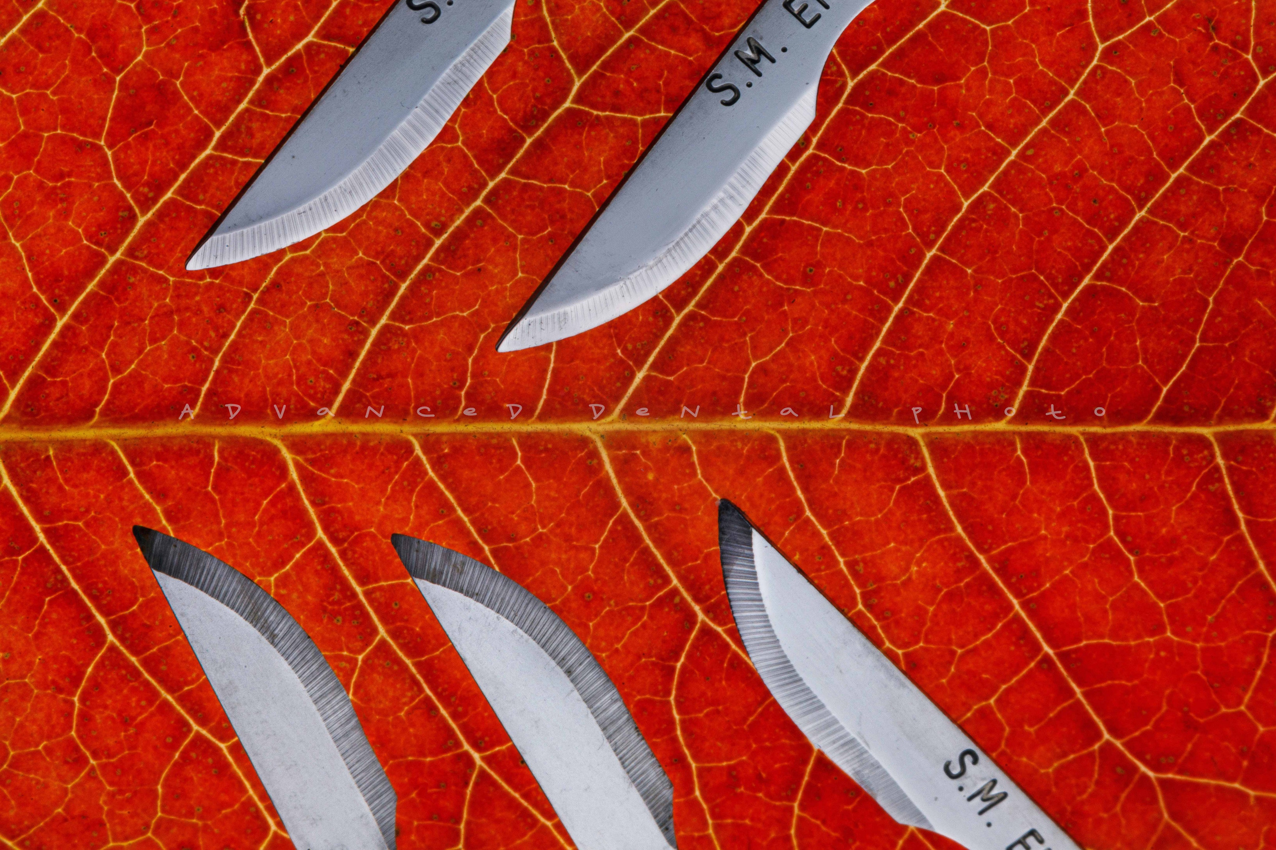 Дентал фотограф — видеограф Денис Дорошенко