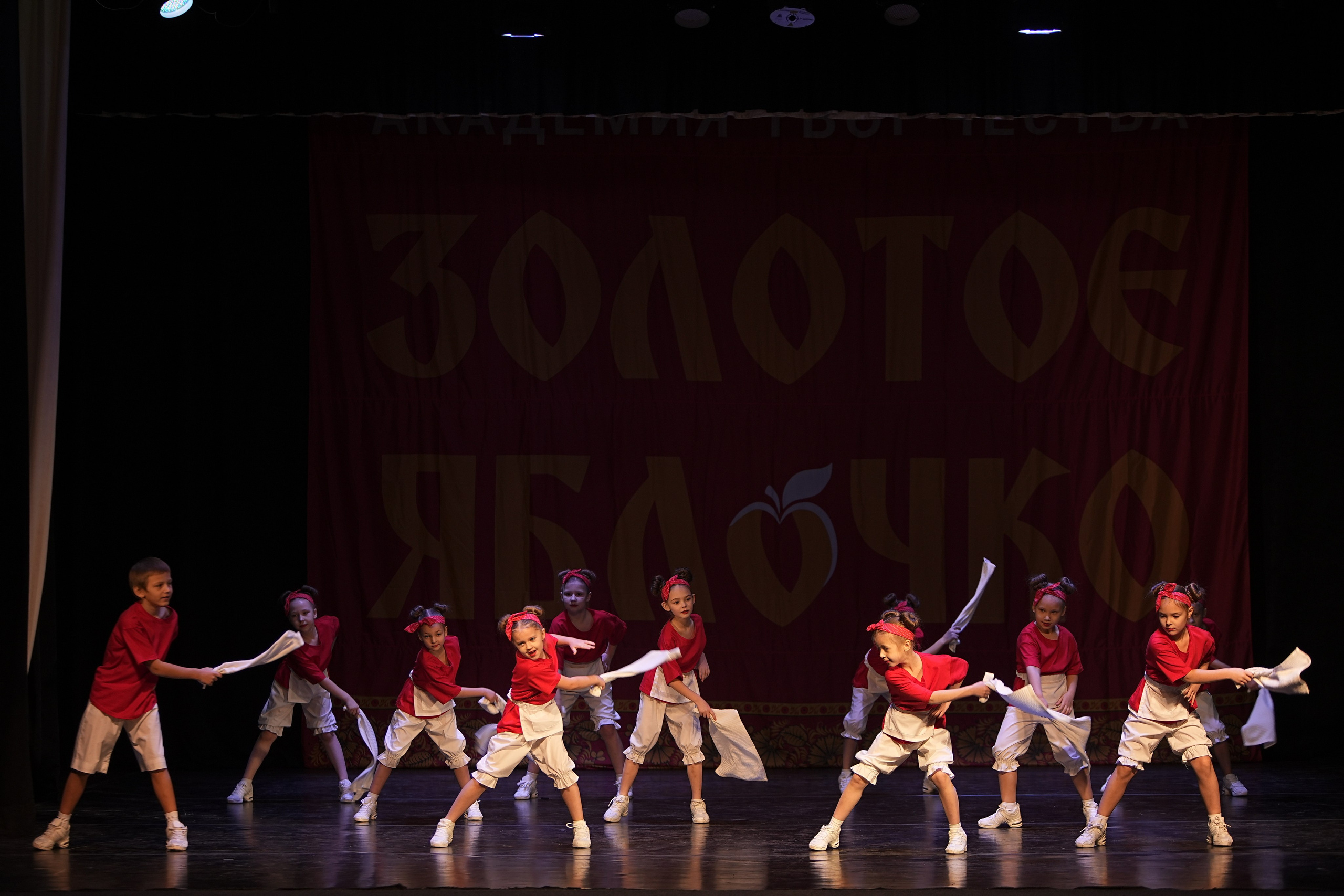 14 декабря, г. Тула. Золотое яблочко