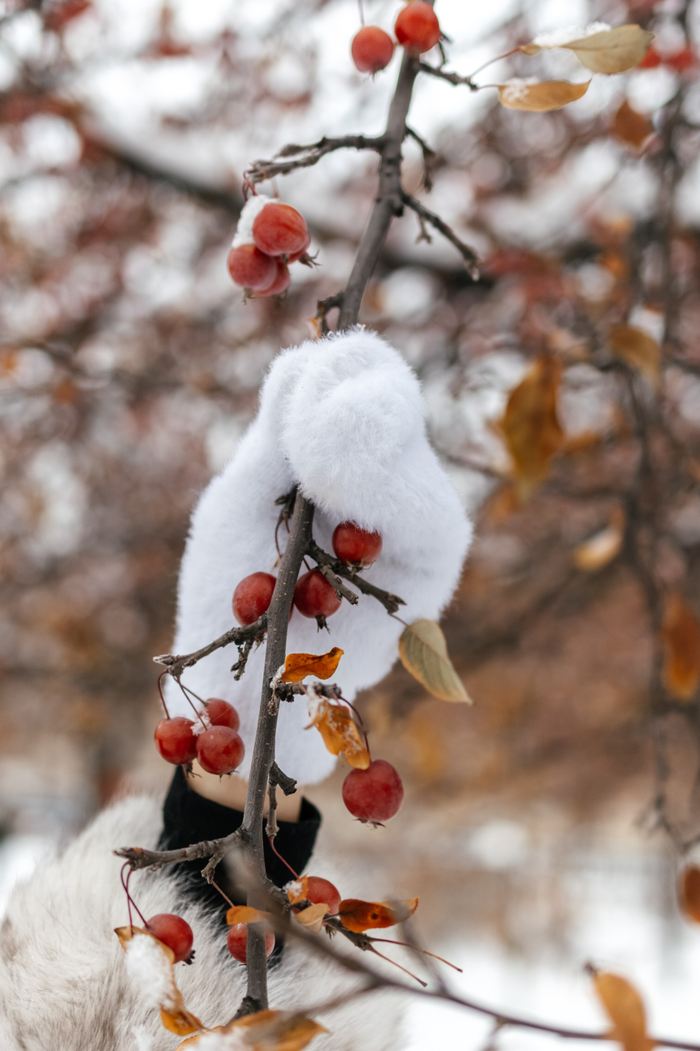 Мария. Lifestyle фотограф в Санкт-Петербурге Анна Щекалева