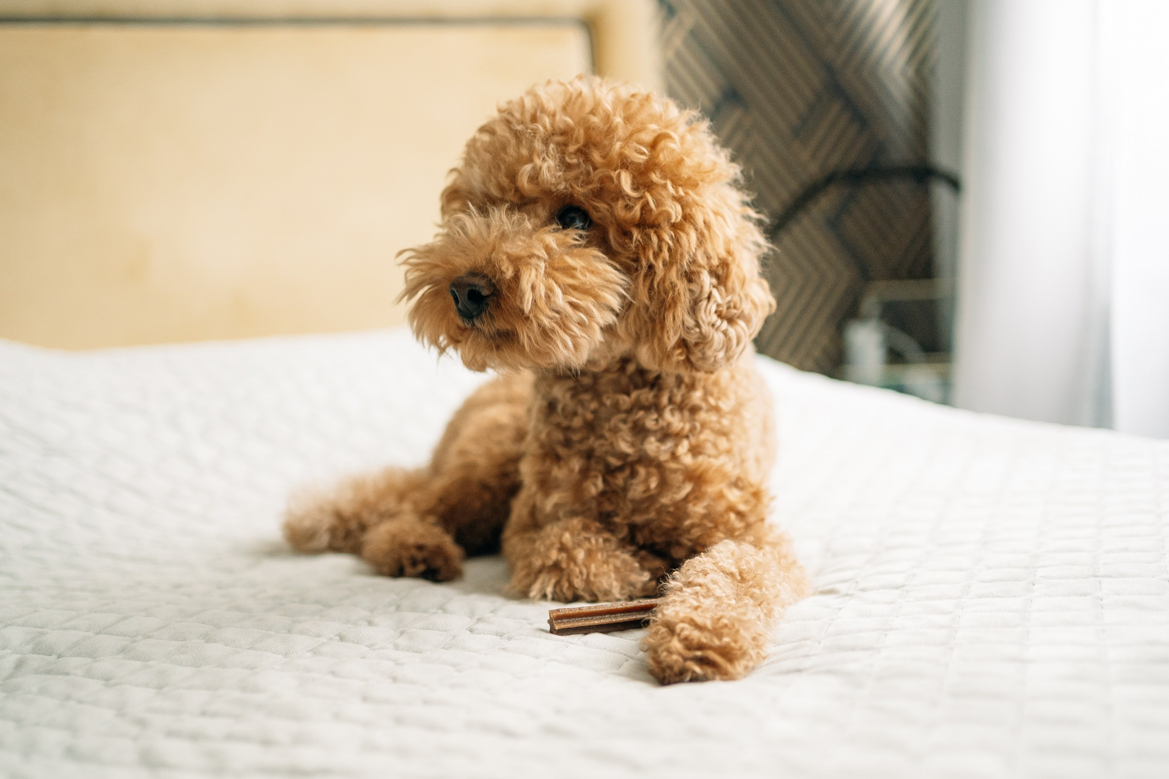 Арине 10 дней семейная съемка. Семейный видеограф и фотограф Соснина Марина