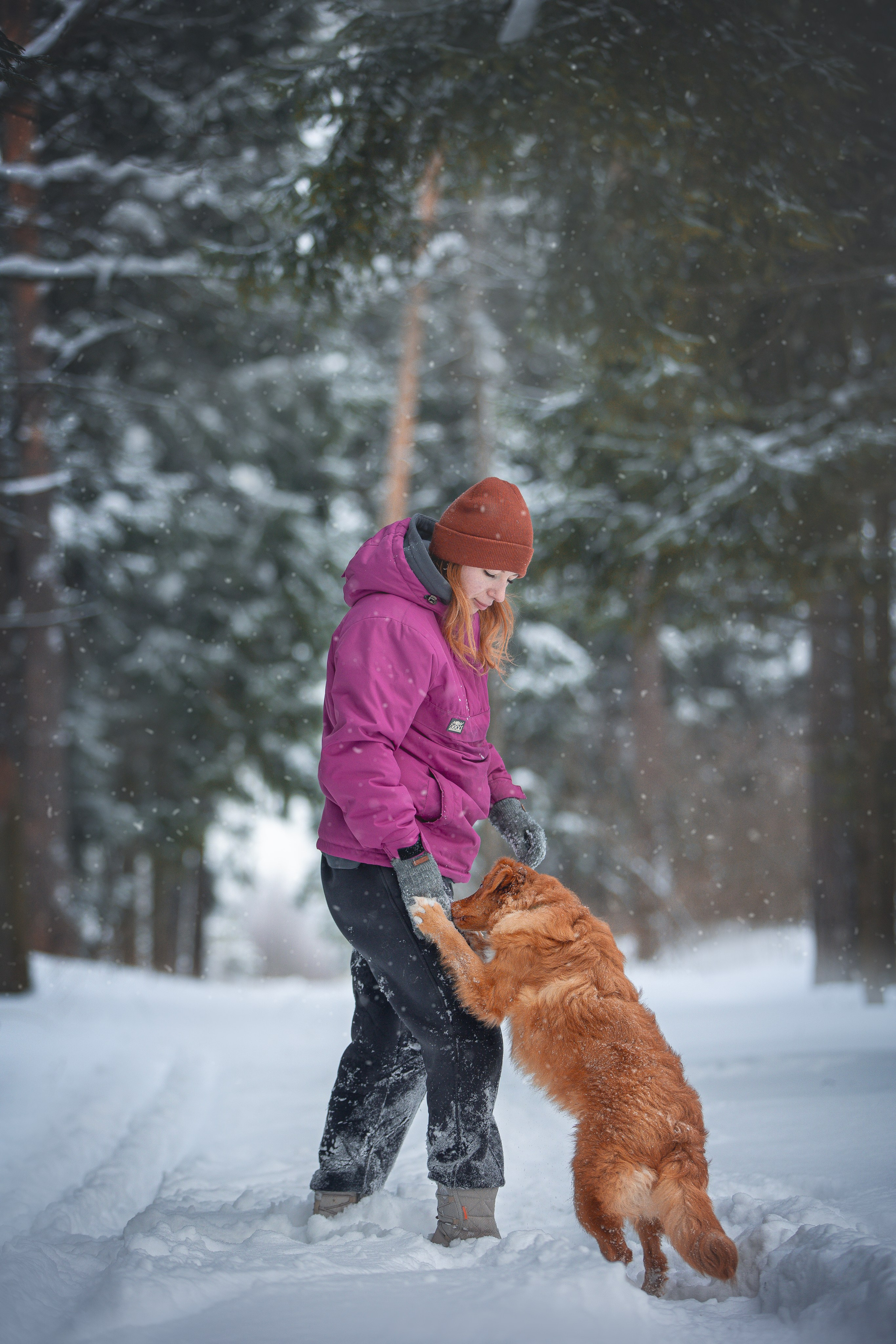 Руби, Николь, Кирилл и Мила. Фотограф анималист в Москве Майорова Евгения