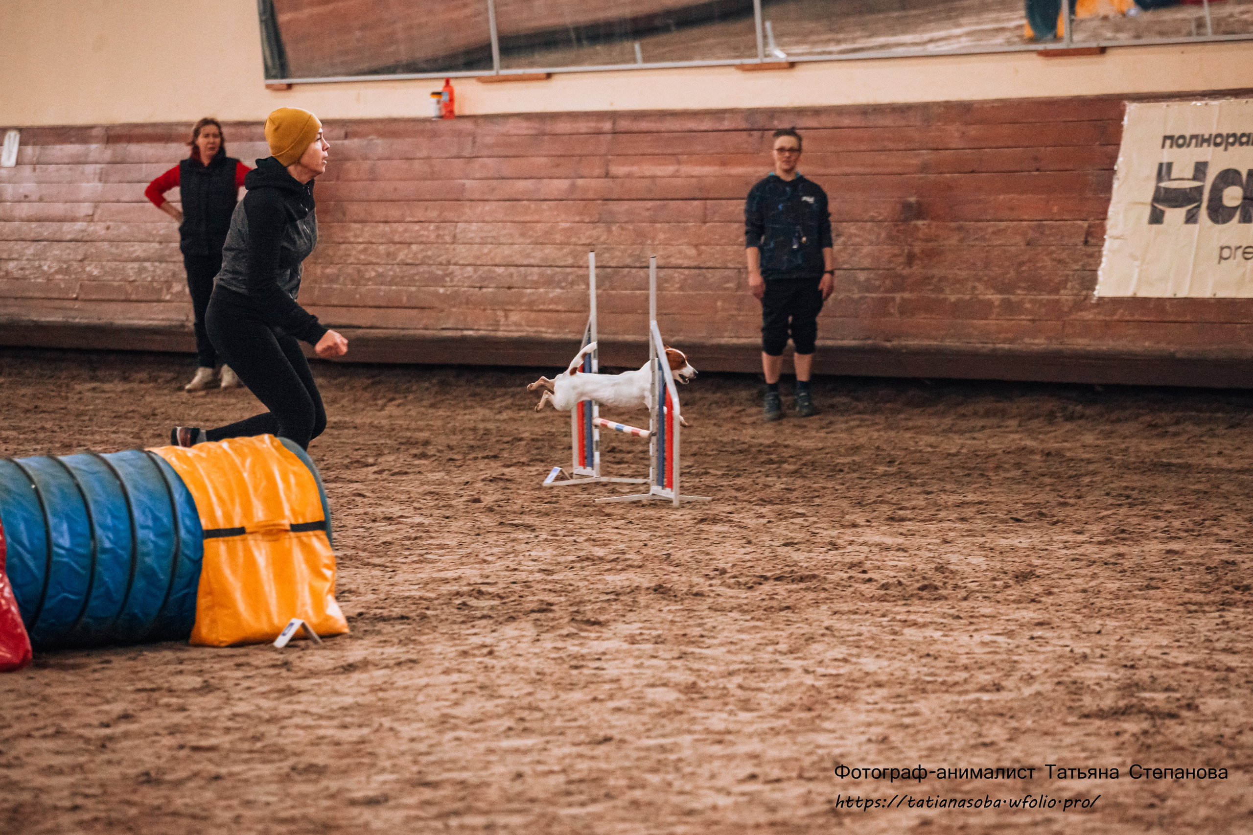 Соревнования по Аджилити 25.02.2024. Фотограф-анималист Татьяна Степанова