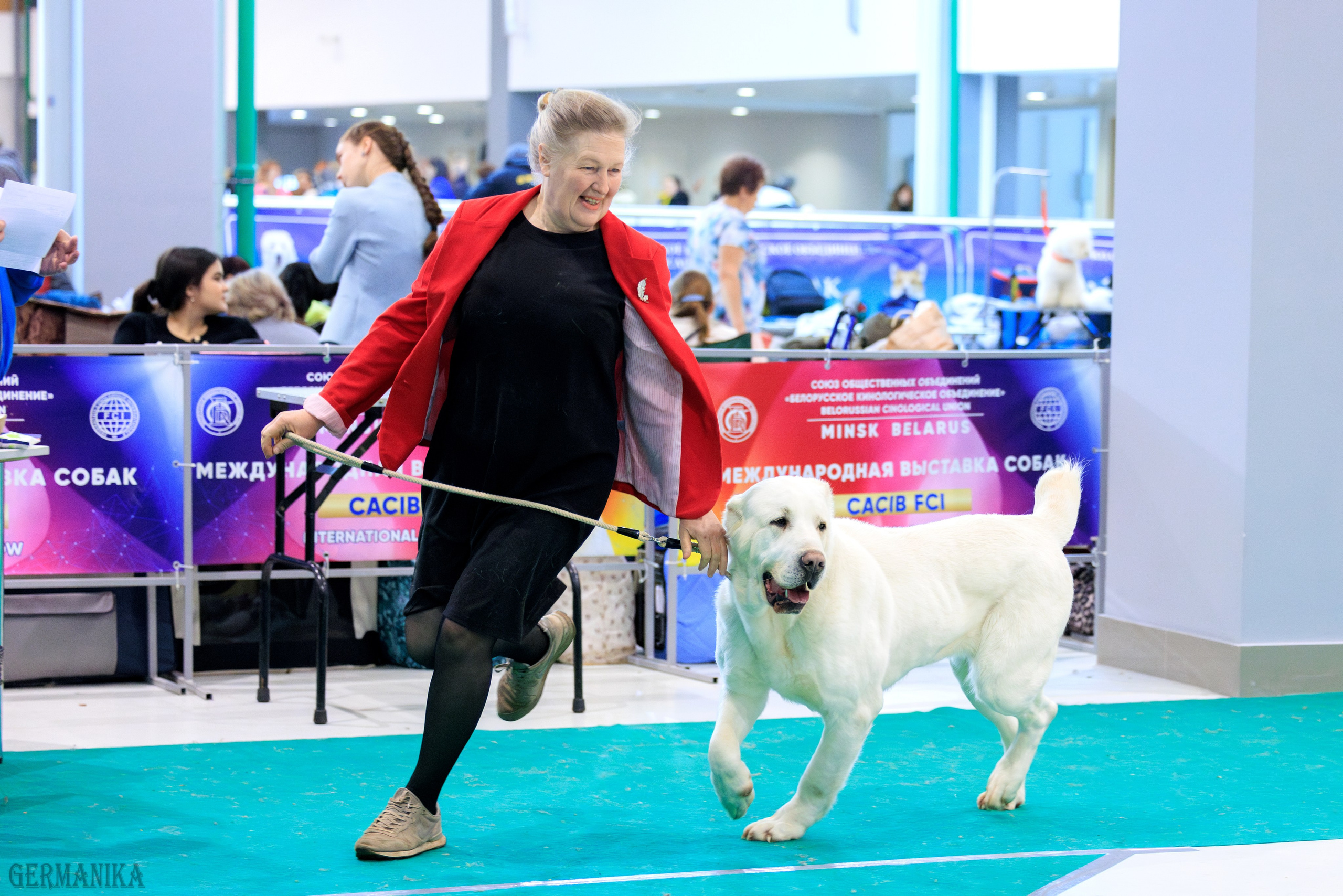 Минск 24-25.02.2024. Фотограф-анималист Юлия Германика