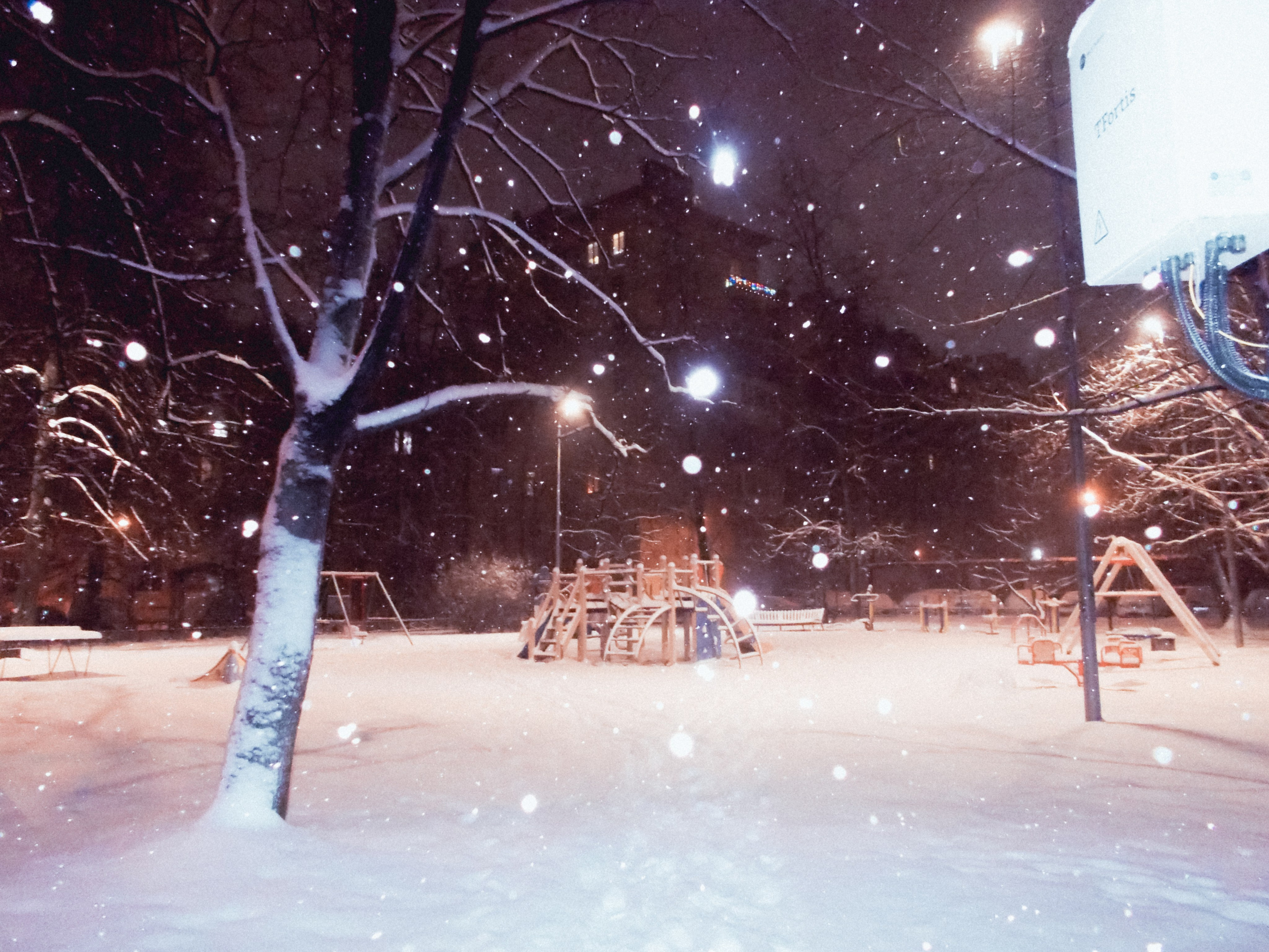 Nikon coolpix l26. Анна Мильч