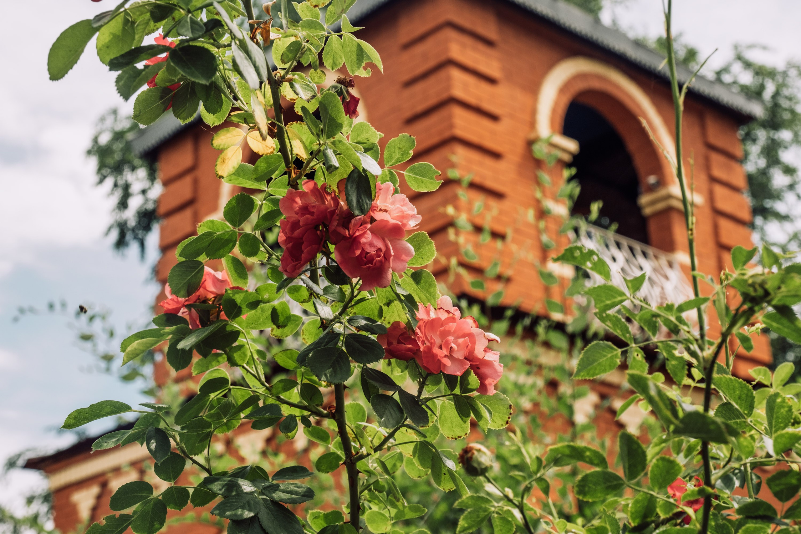 Иоанно-предтеченский монастырь. Фотограф Анатолий Деникин