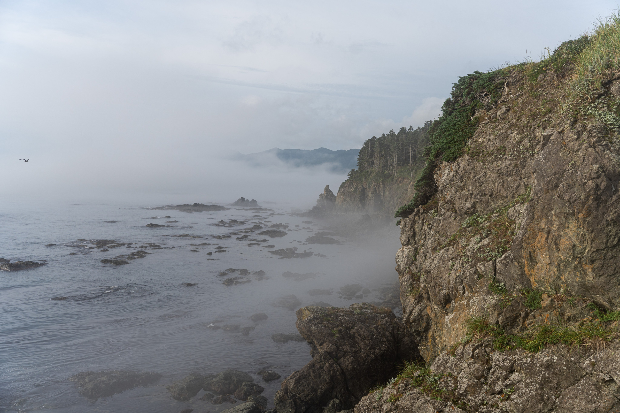 Сахалин 2025. Творческие сьемки