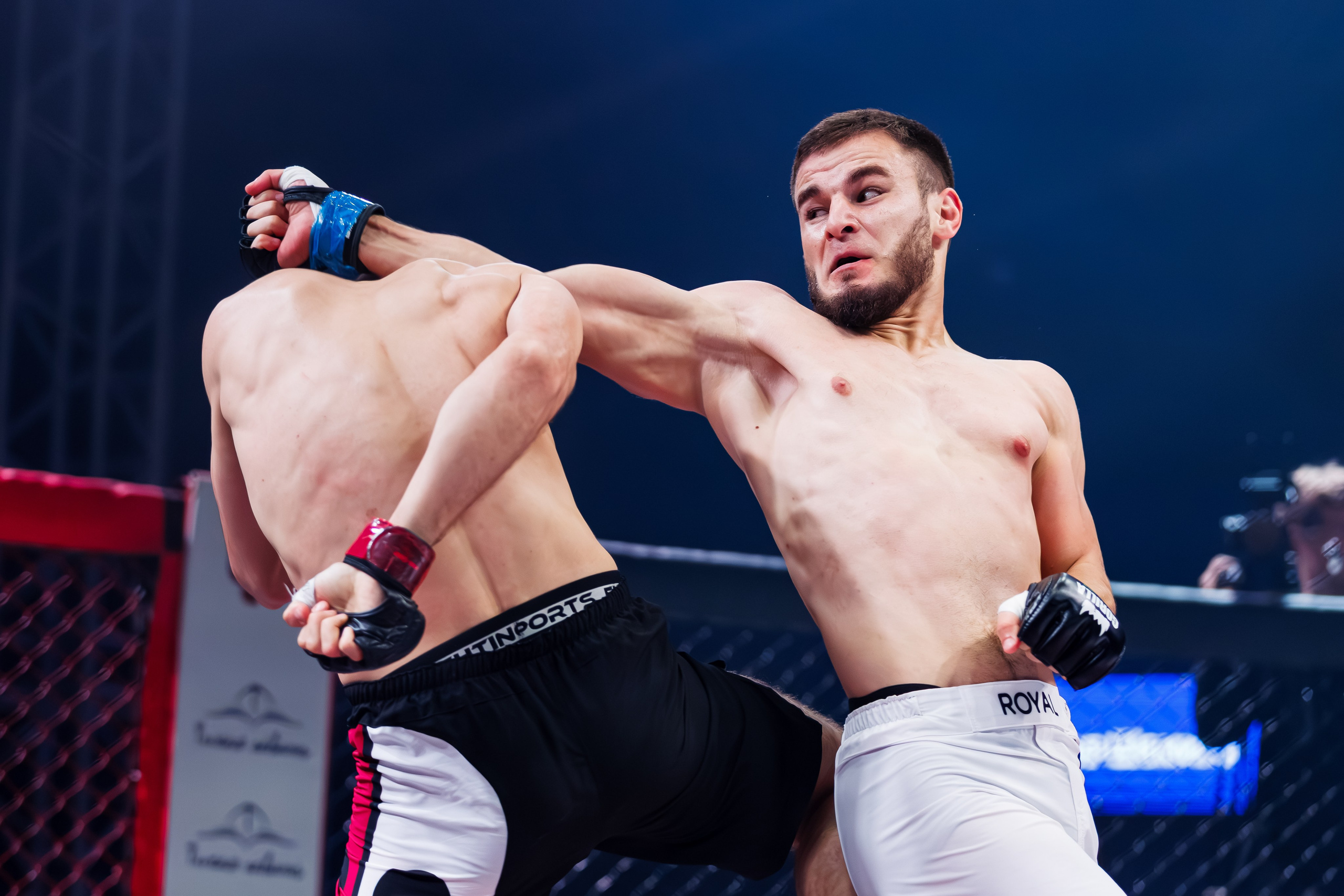 ММА. Спортивный фотограф Денис Веселов в Нижнем Новгороде