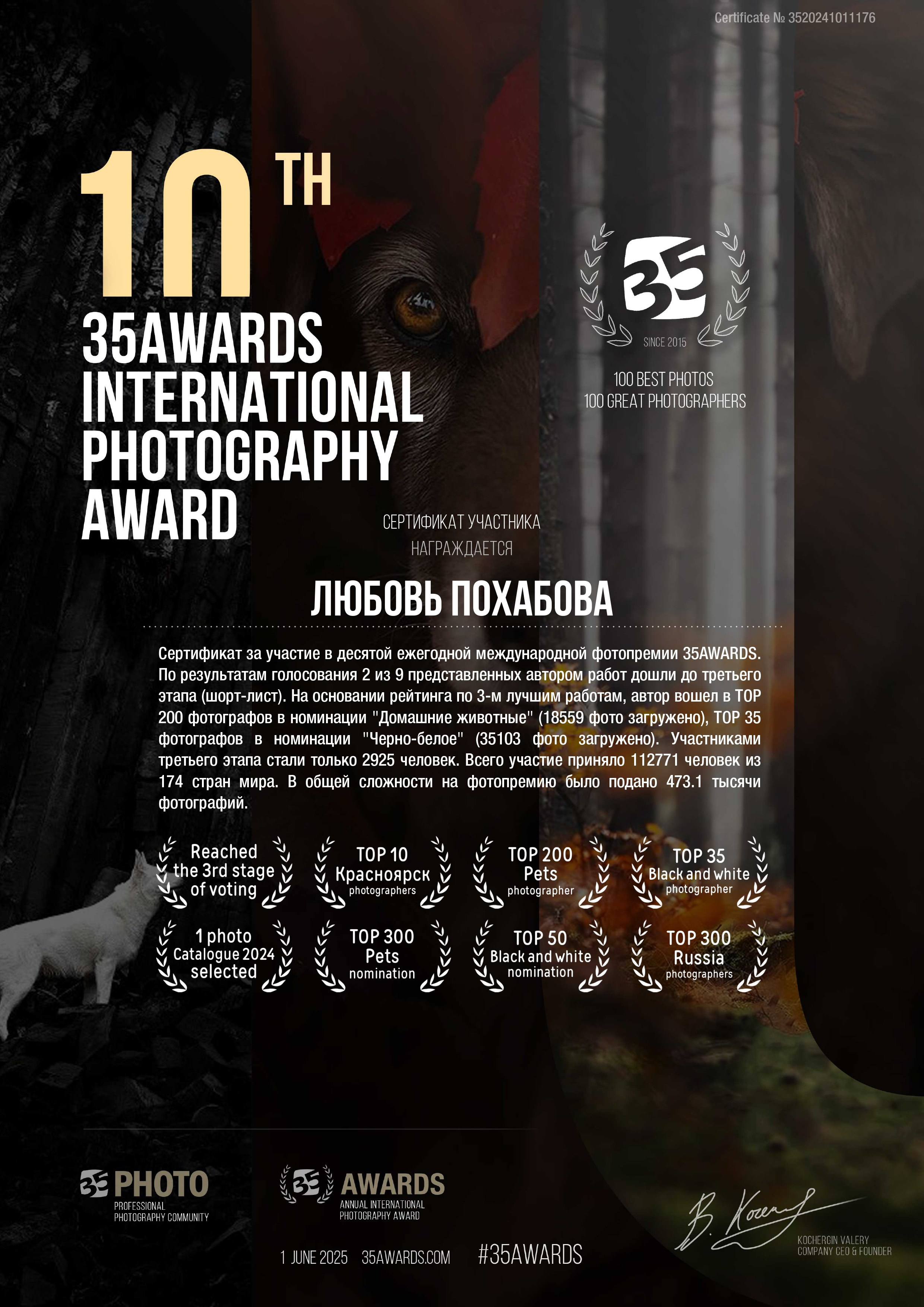 Главная. Конный фотограф в Красноярске — Любовь Похабова