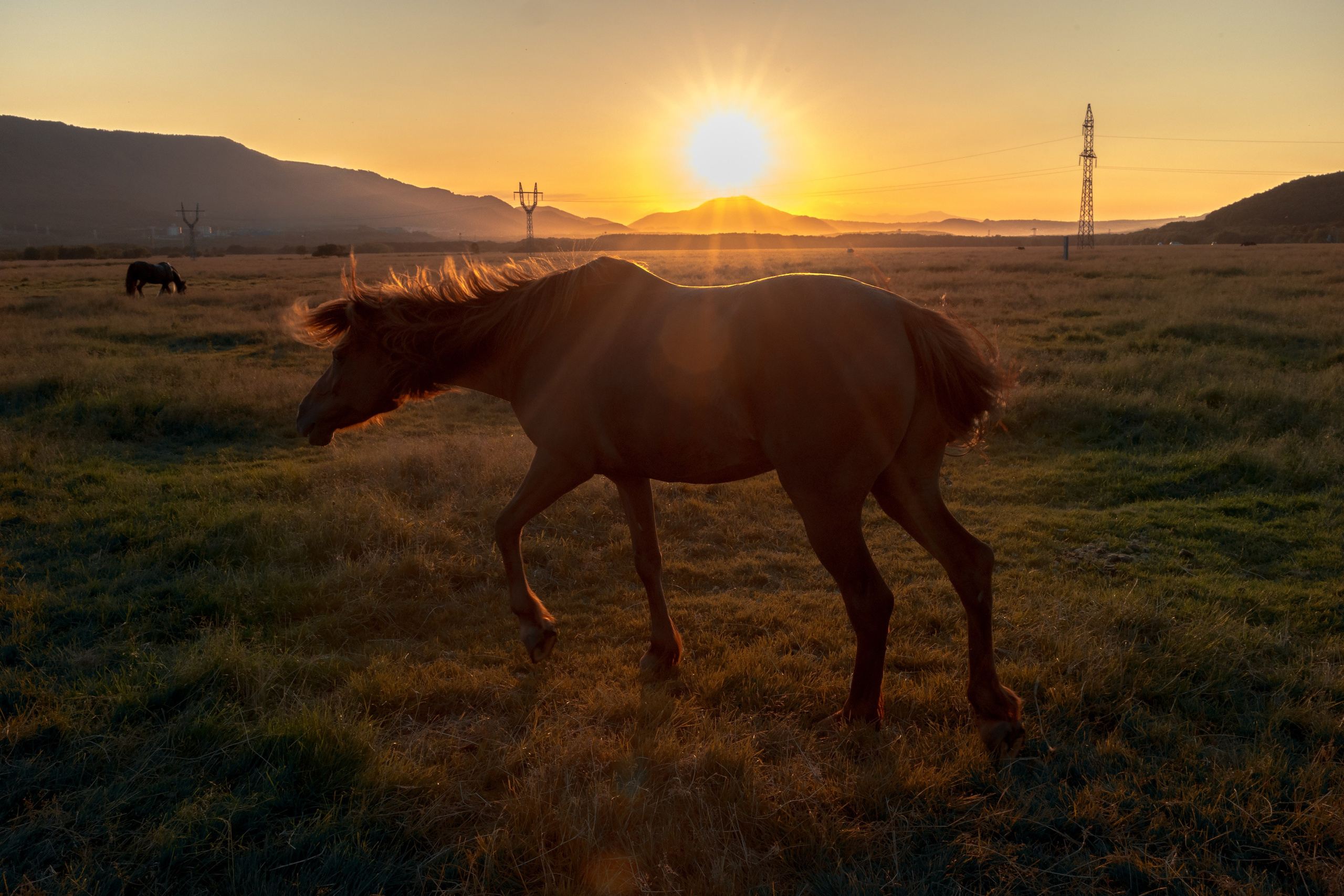 Екатерина. Свадебный фотограф в Петропавловске-Камчатском Артур Зябов