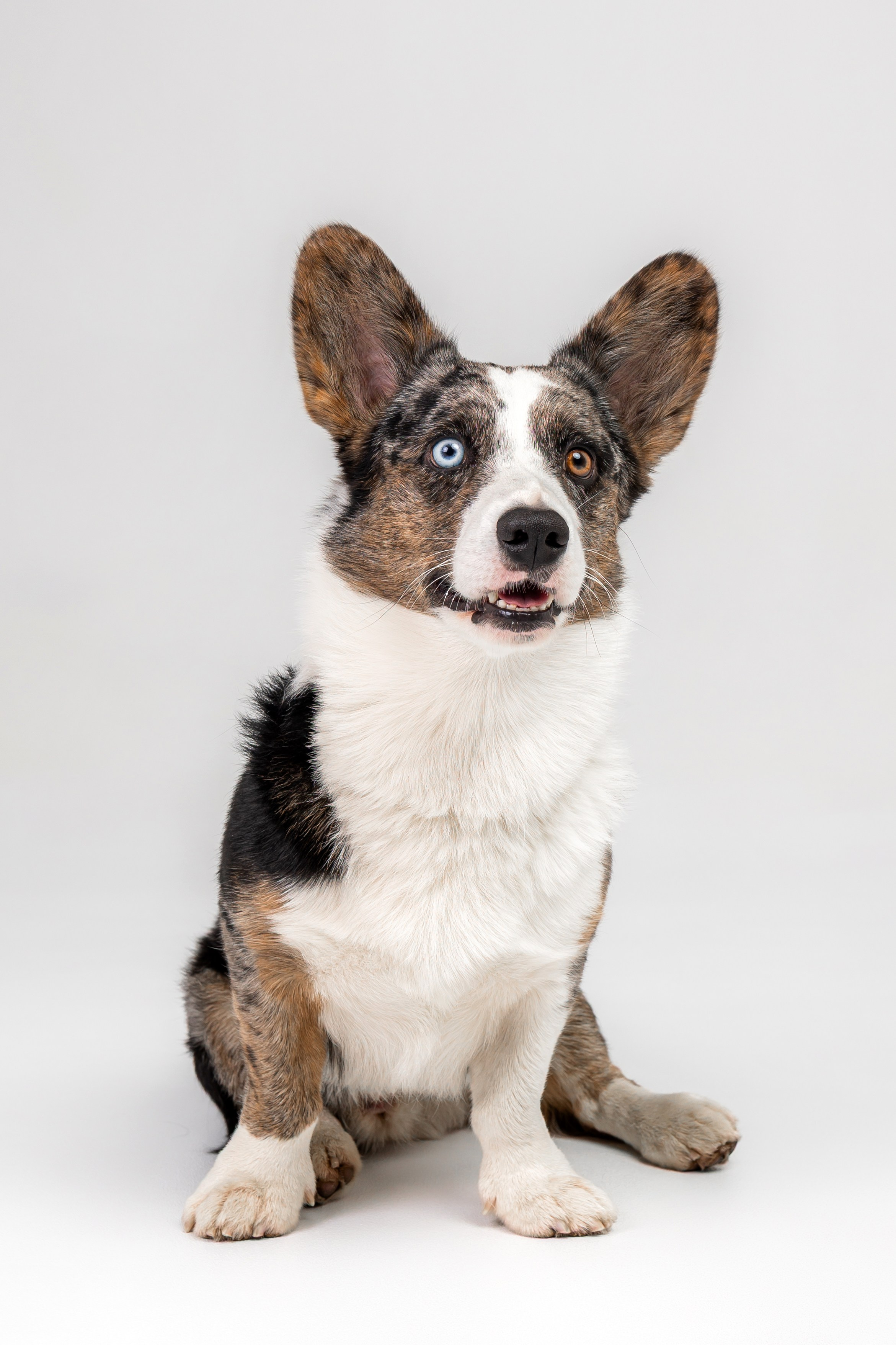 Анатолий и Рагнар