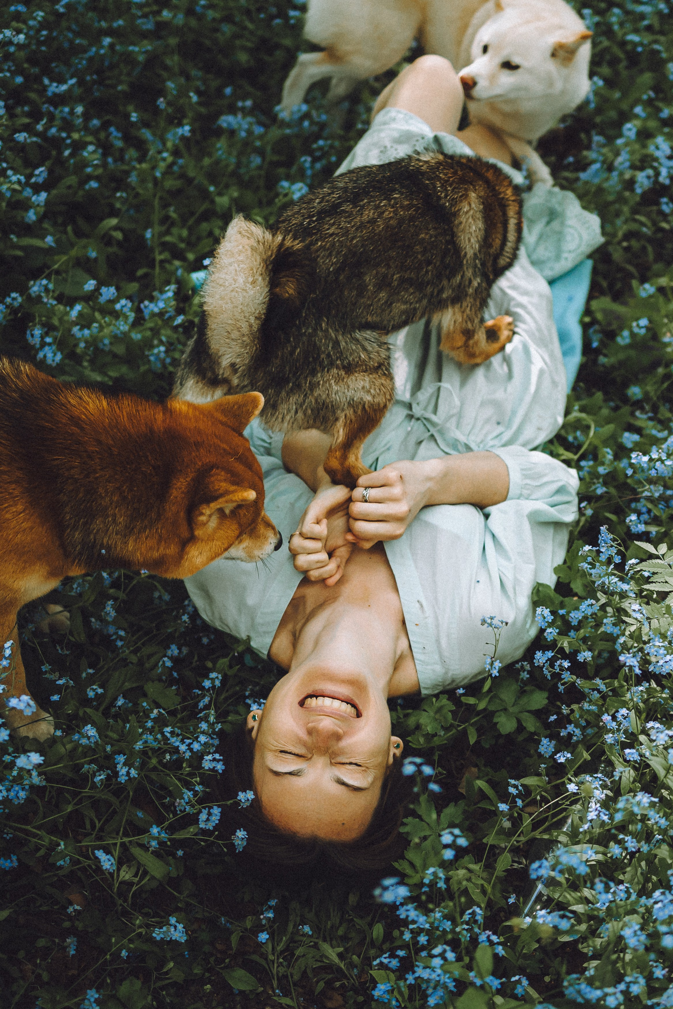 Шед, Цири, Чиби, Цера и их семья