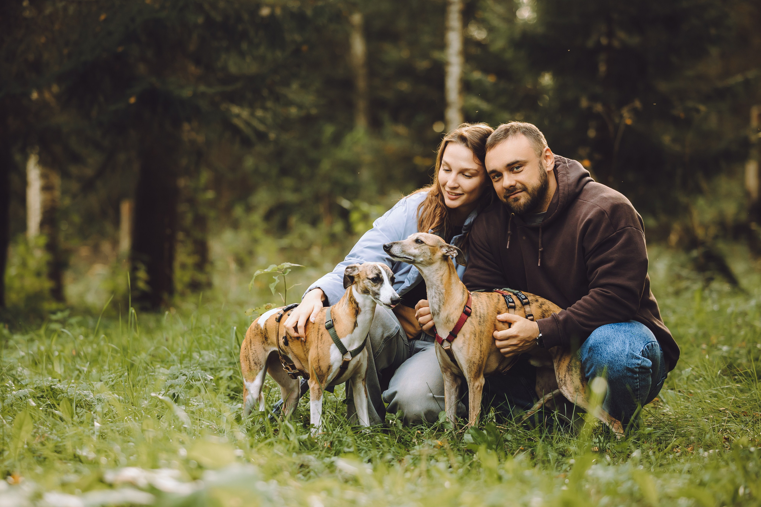 Выездной дог-тренинг от школы «Шерсть имею», Тованово
